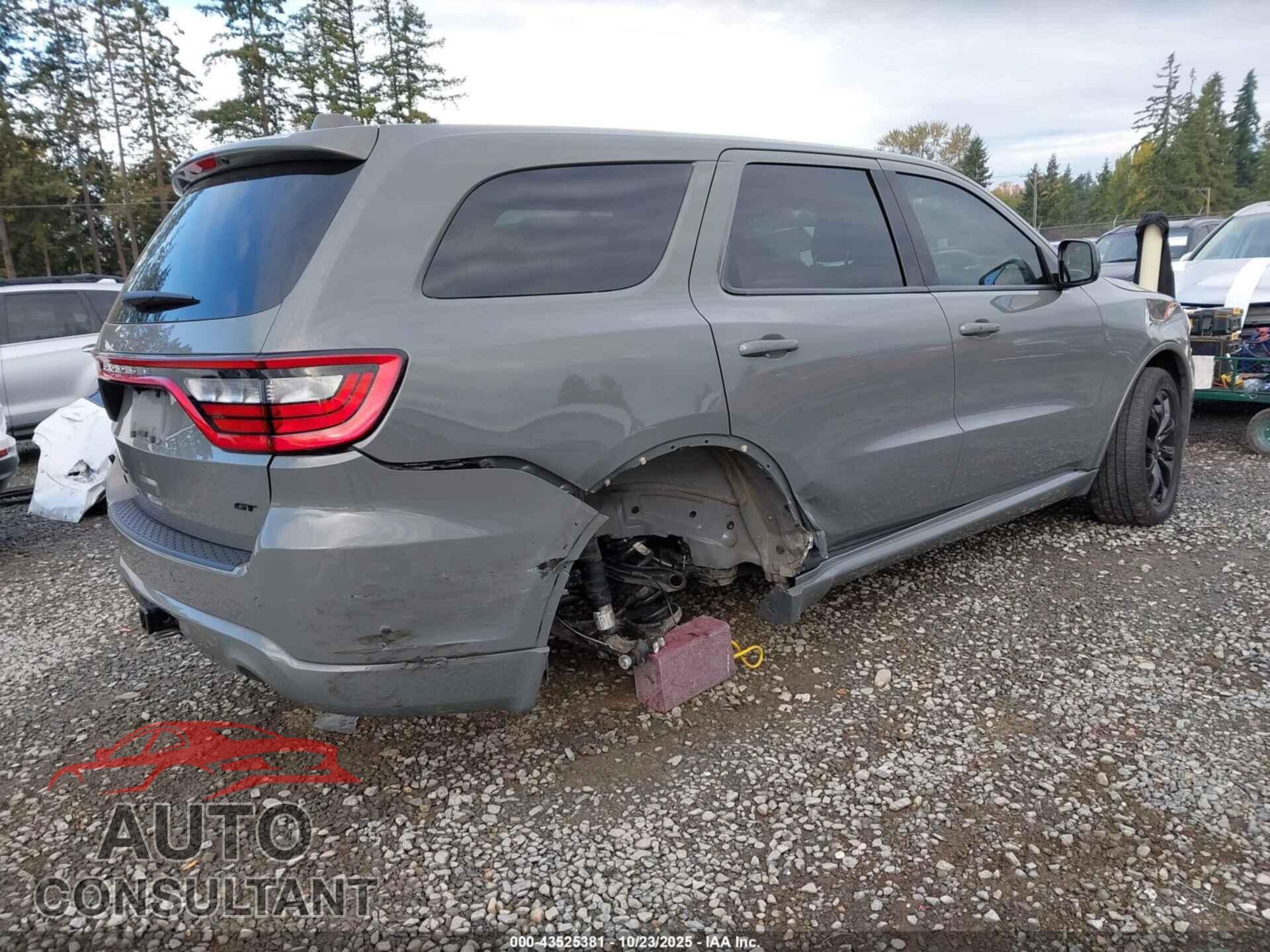 DODGE DURANGO 2019 - 1C4RDJDGXKC827966
