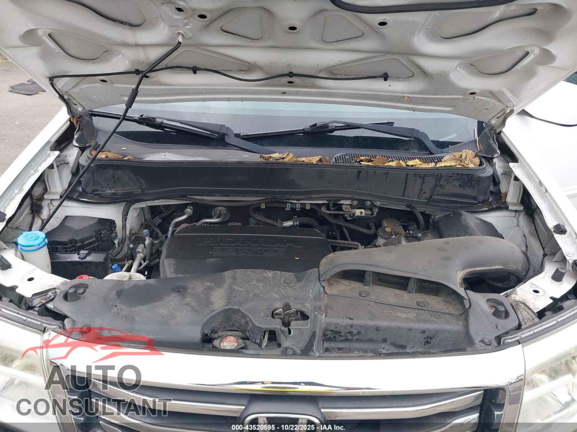 HONDA PILOT 2013 - 5FNYF3H52DB013116