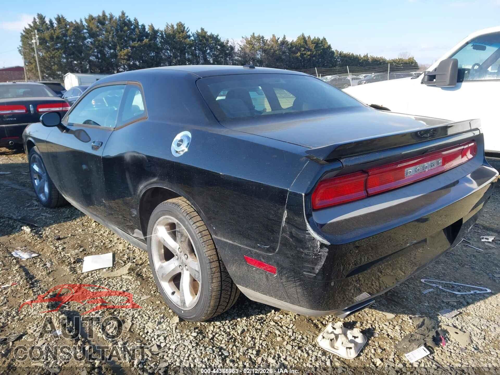 DODGE CHALLENGER 2013 - 2C3CDYAG2DH631303