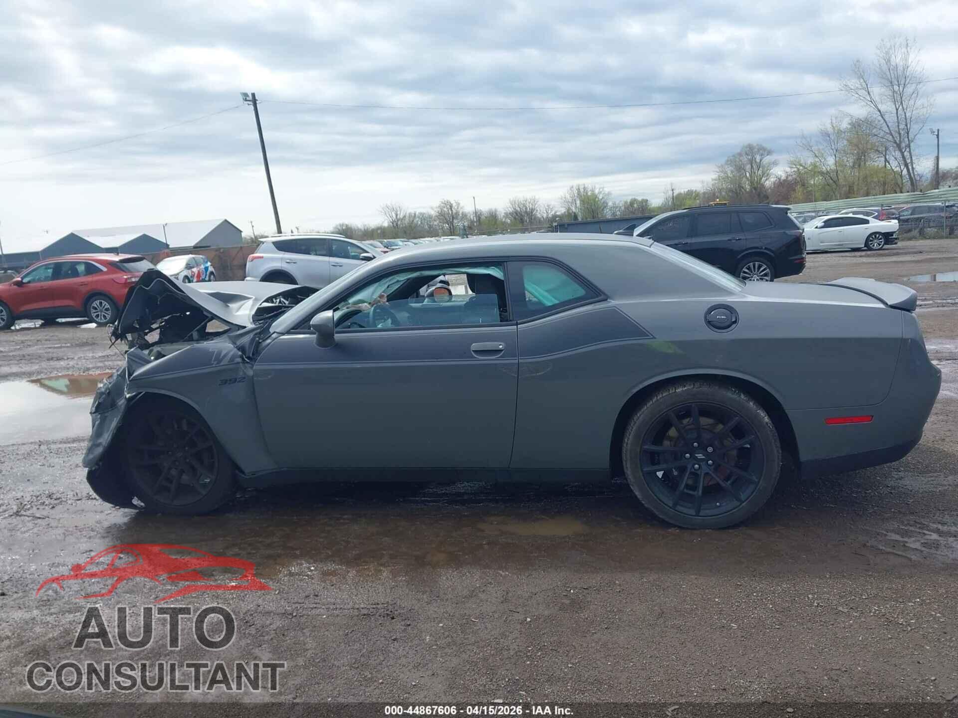 DODGE CHALLENGER 2019 - 2C3CDZFJ7KH629098