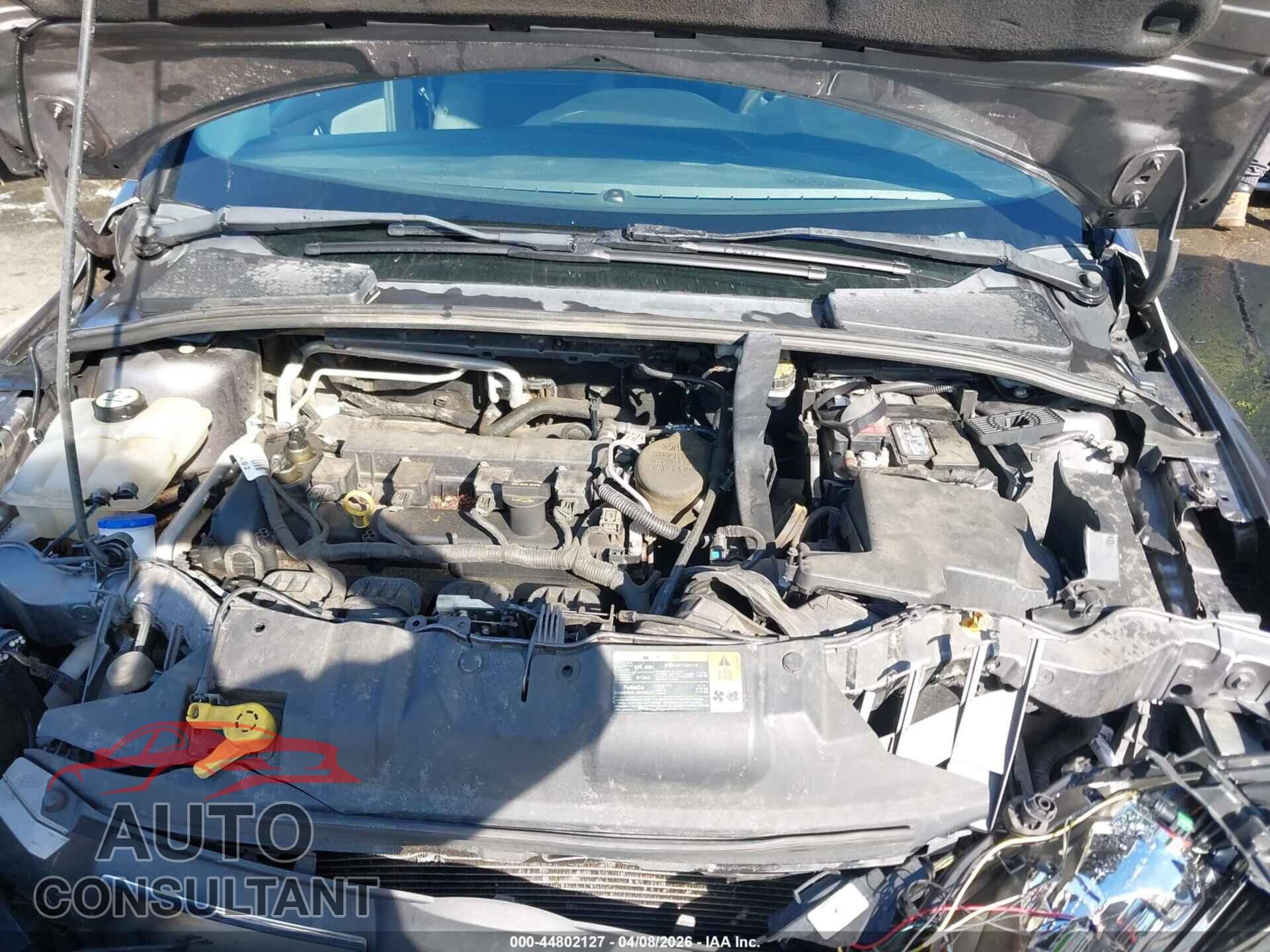 FORD FOCUS 2012 - 1FAHP3E21CL182505