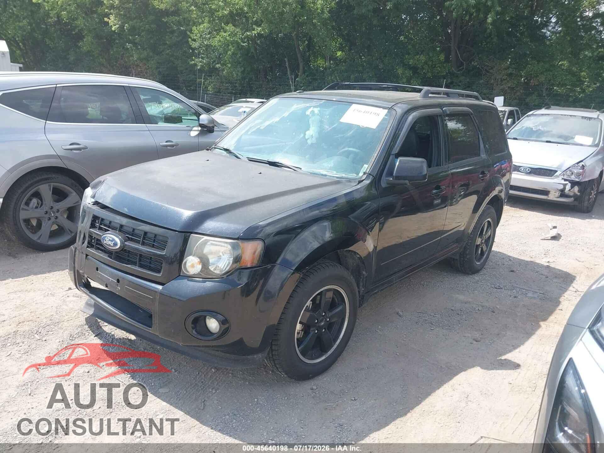 FORD ESCAPE 2010 - 1FMCU0D72AKD09558