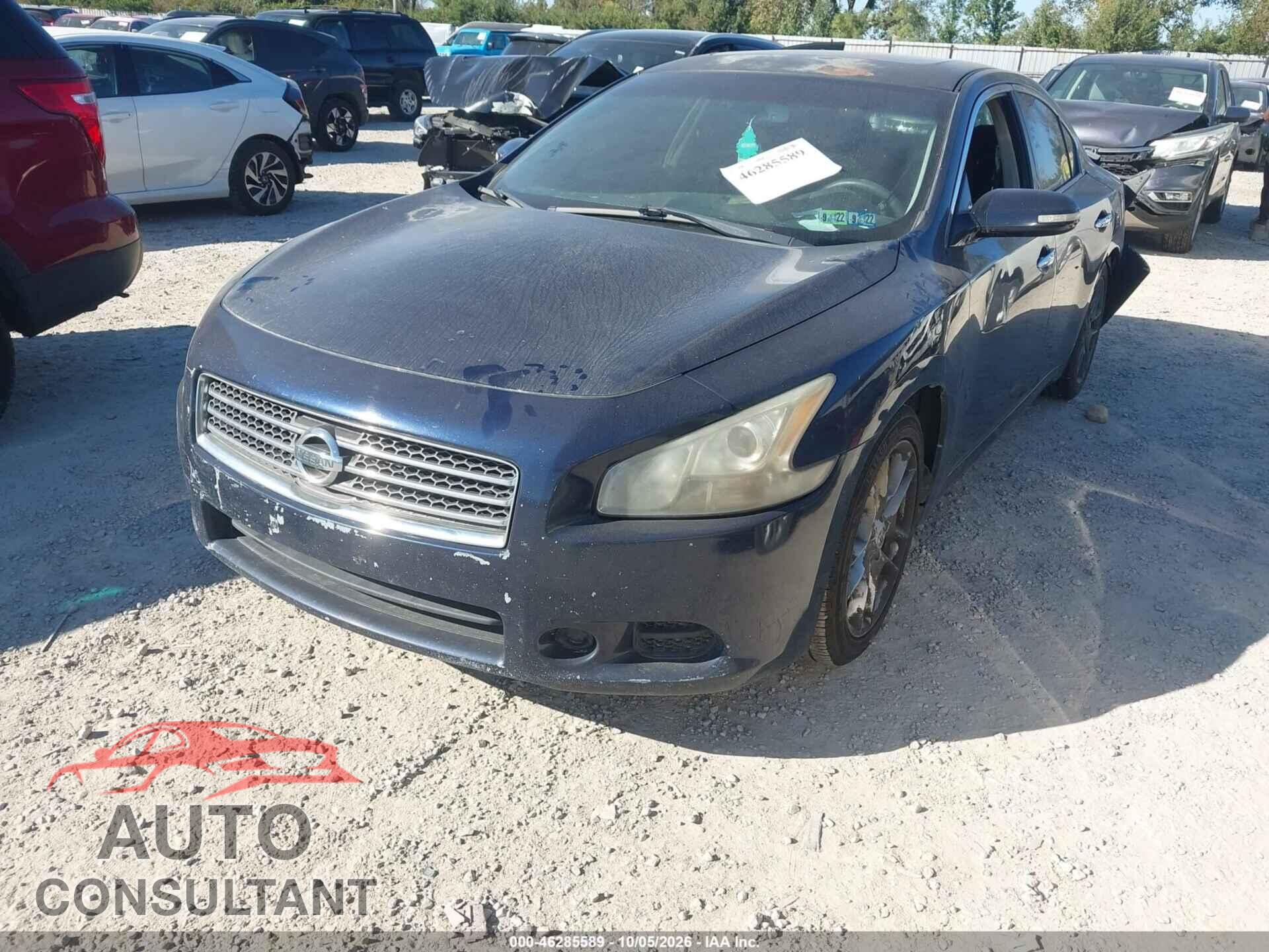 NISSAN MAXIMA 2010 - 1N4AA5AP0AC856463