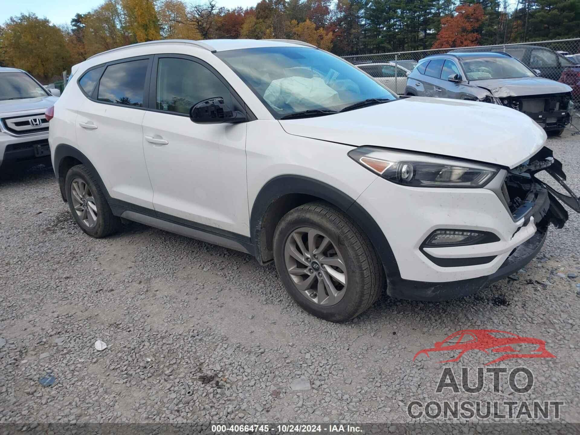 HYUNDAI TUCSON 2017 - KM8J3CA44HU293741