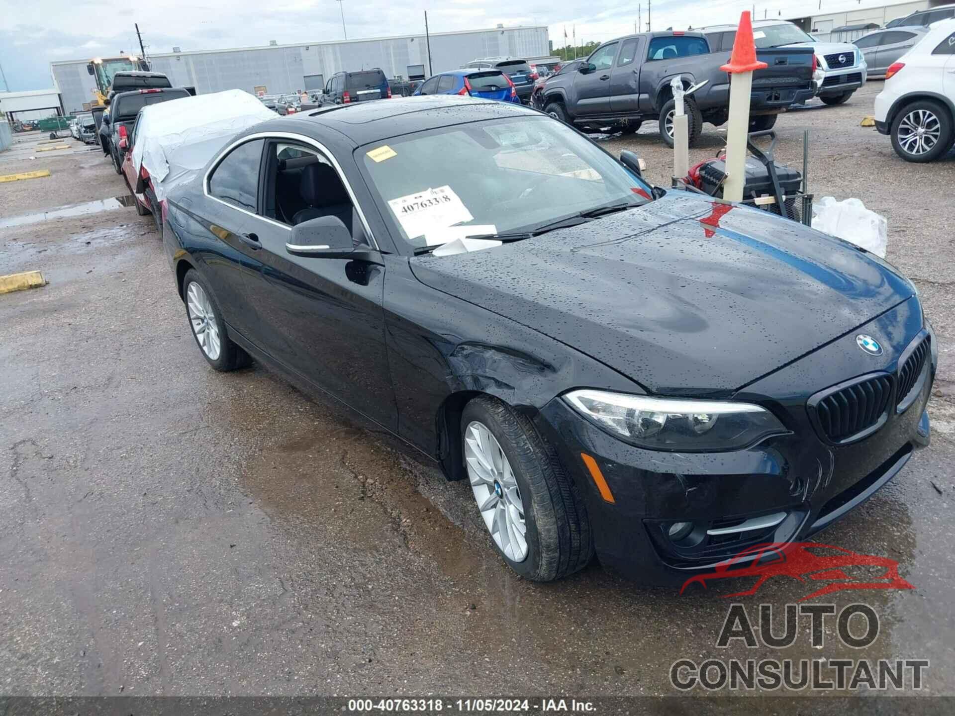 BMW 228I 2016 - WBA1F9C59GV546207