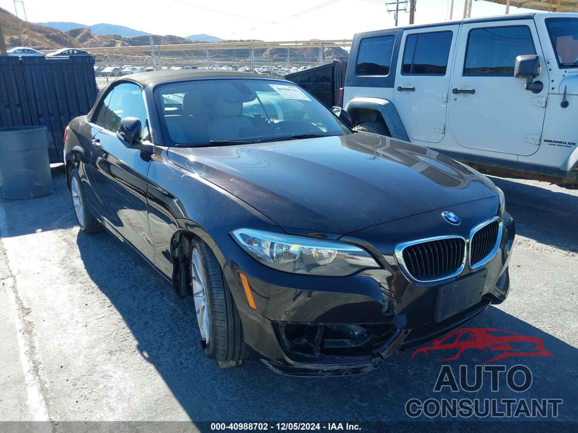 BMW 228I 2015 - WBA1K5C54FV474156
