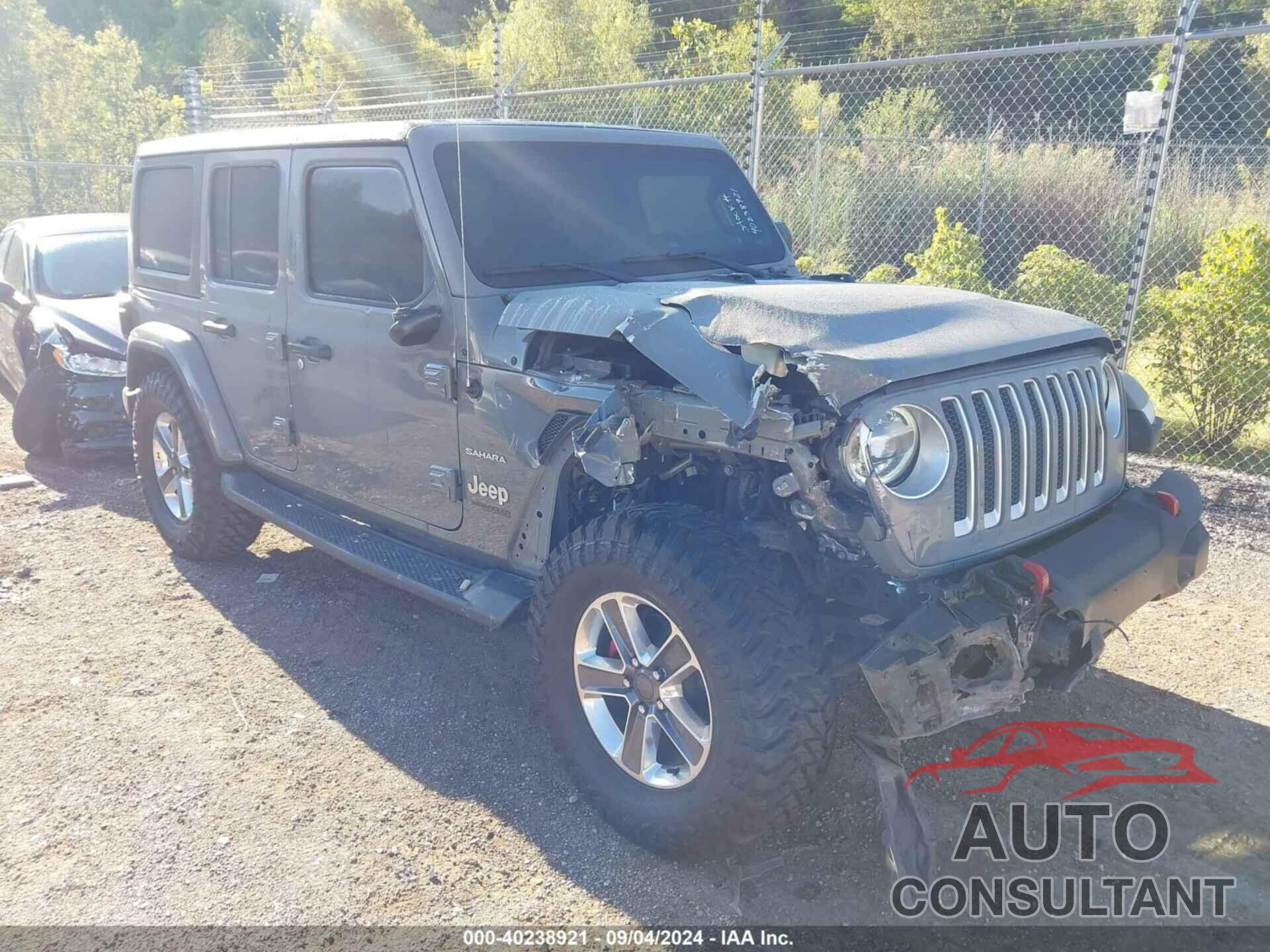 JEEP WRANGLER UNLIMITED 2019 - 1C4HJXEN1KW517160