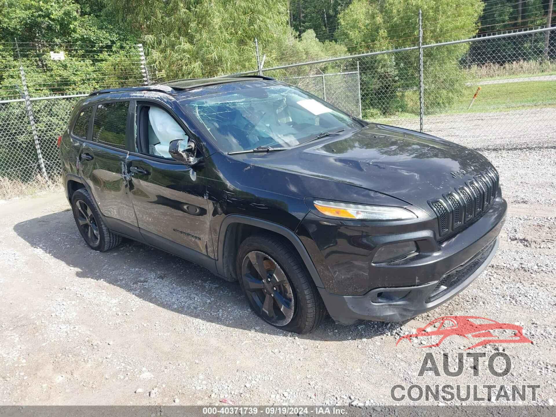 JEEP CHEROKEE 2016 - 1C4PJLCB3GW113796
