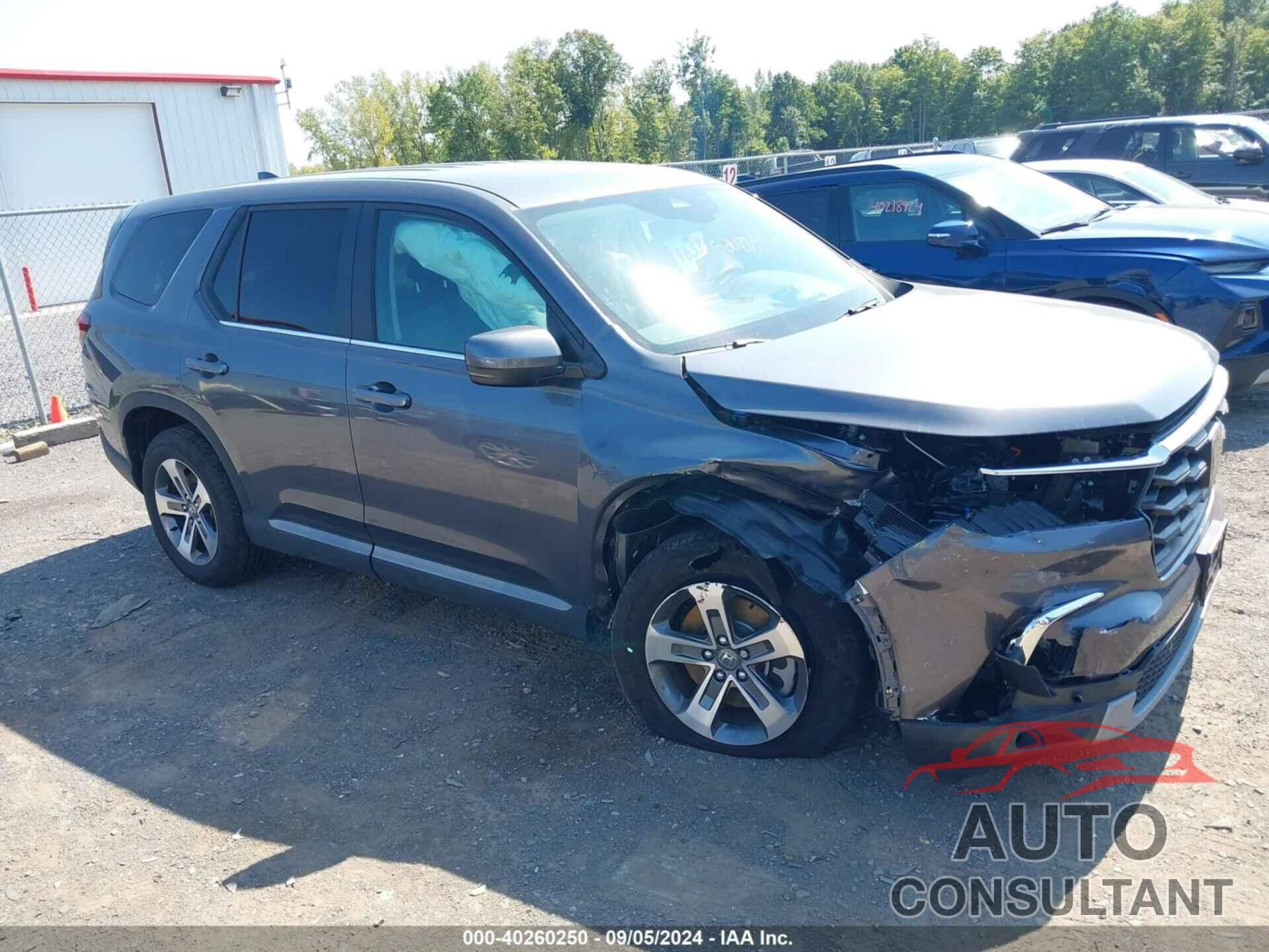 HONDA PILOT 2024 - 5FNYG1H42RB001158