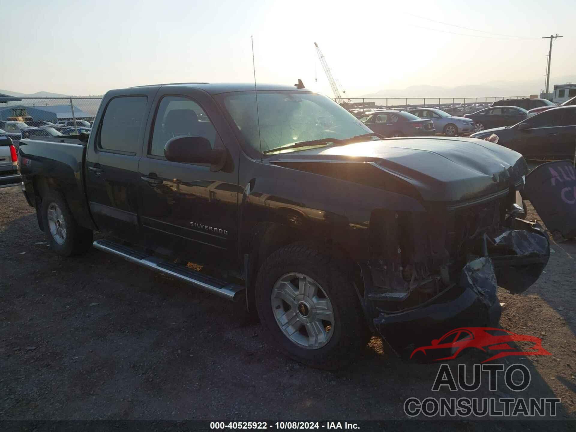 CHEVROLET SILVERADO 1500 2010 - 3GCRKTE36AG145174
