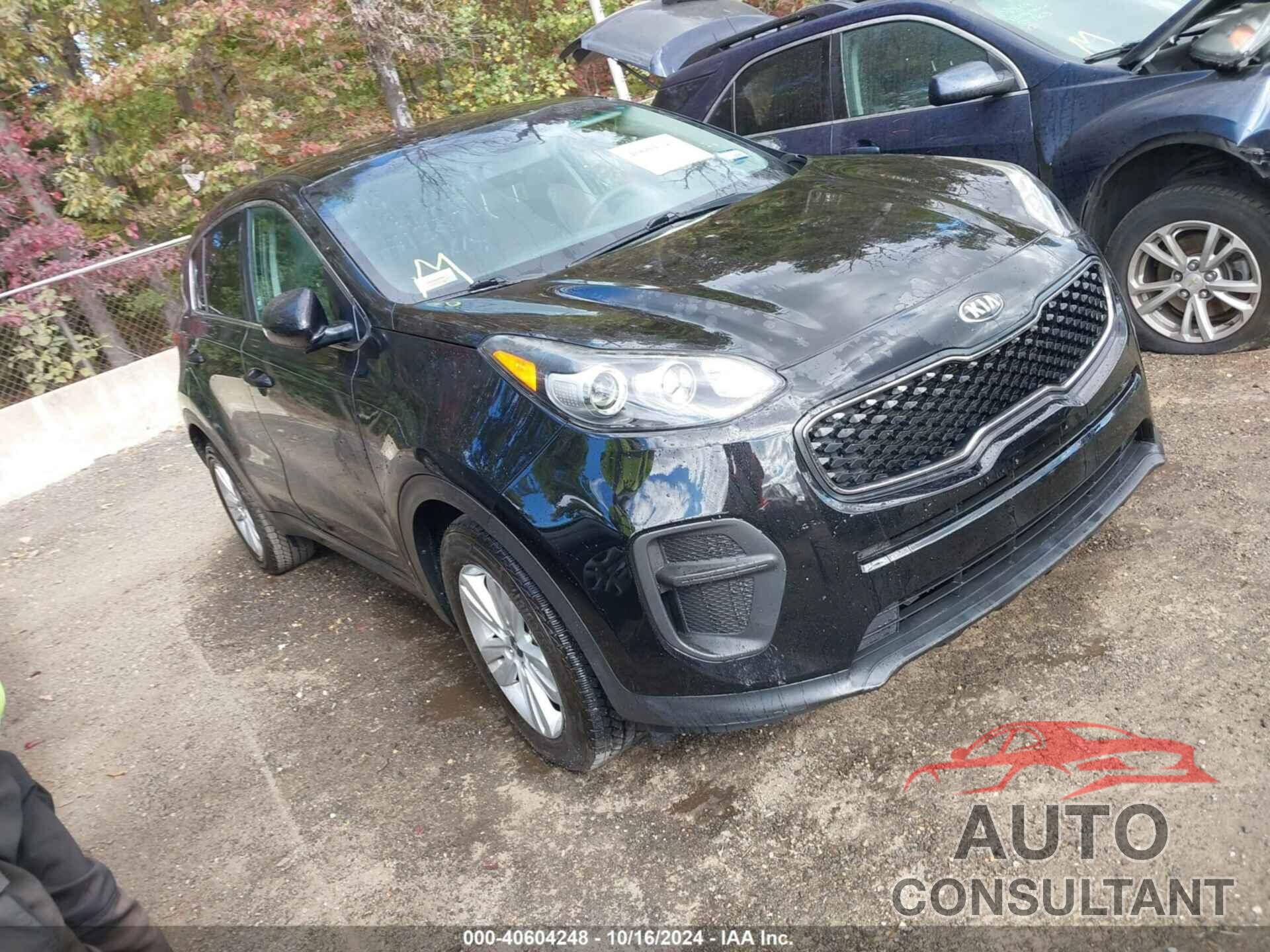 KIA SPORTAGE 2019 - KNDPM3AC5K7513879