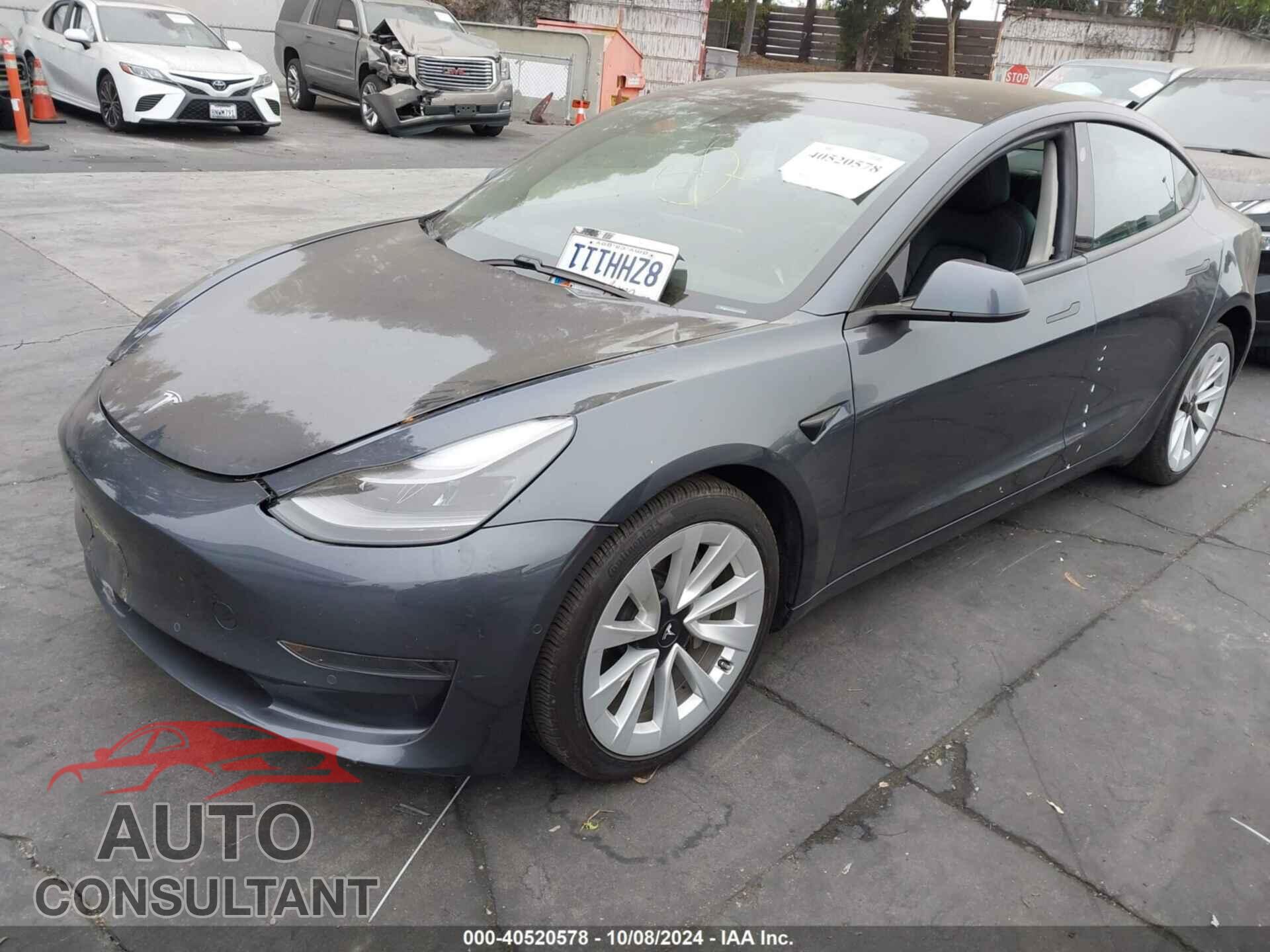 TESLA MODEL 3 2021 - 5YJ3E1EA1MF067784
