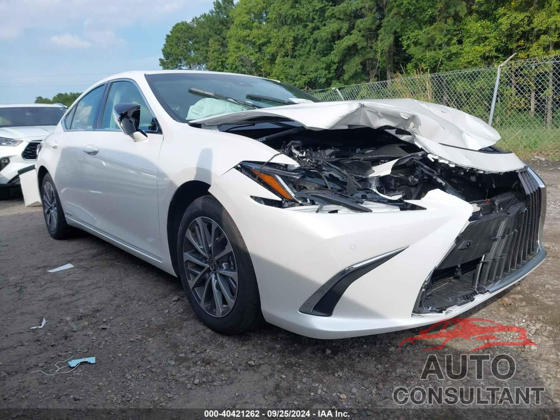 LEXUS ES 300H 2022 - 58ADA1C11NU023218