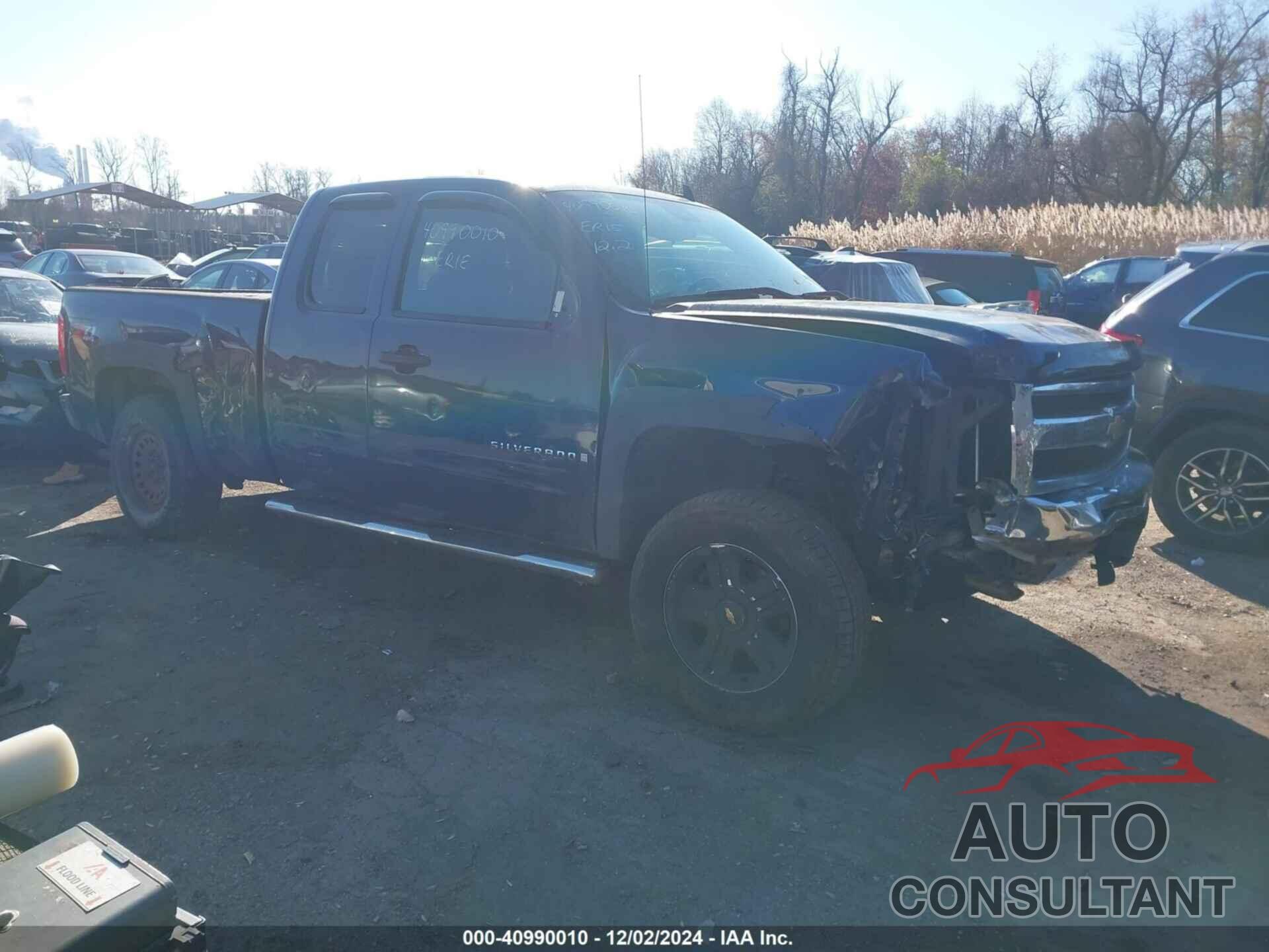 CHEVROLET SILVERADO 1500 2009 - 1GCEK29089Z264879
