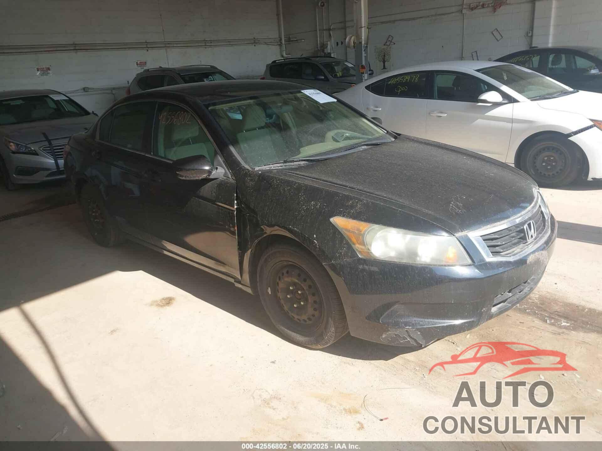 HONDA ACCORD 2009 - 1HGCP26359A029301