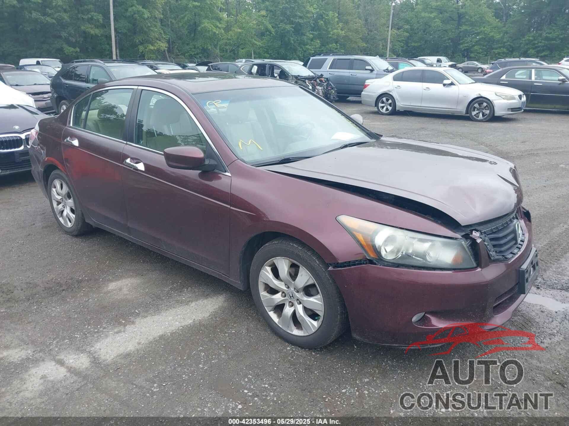 HONDA ACCORD 2010 - 5KBCP3F89AB018928
