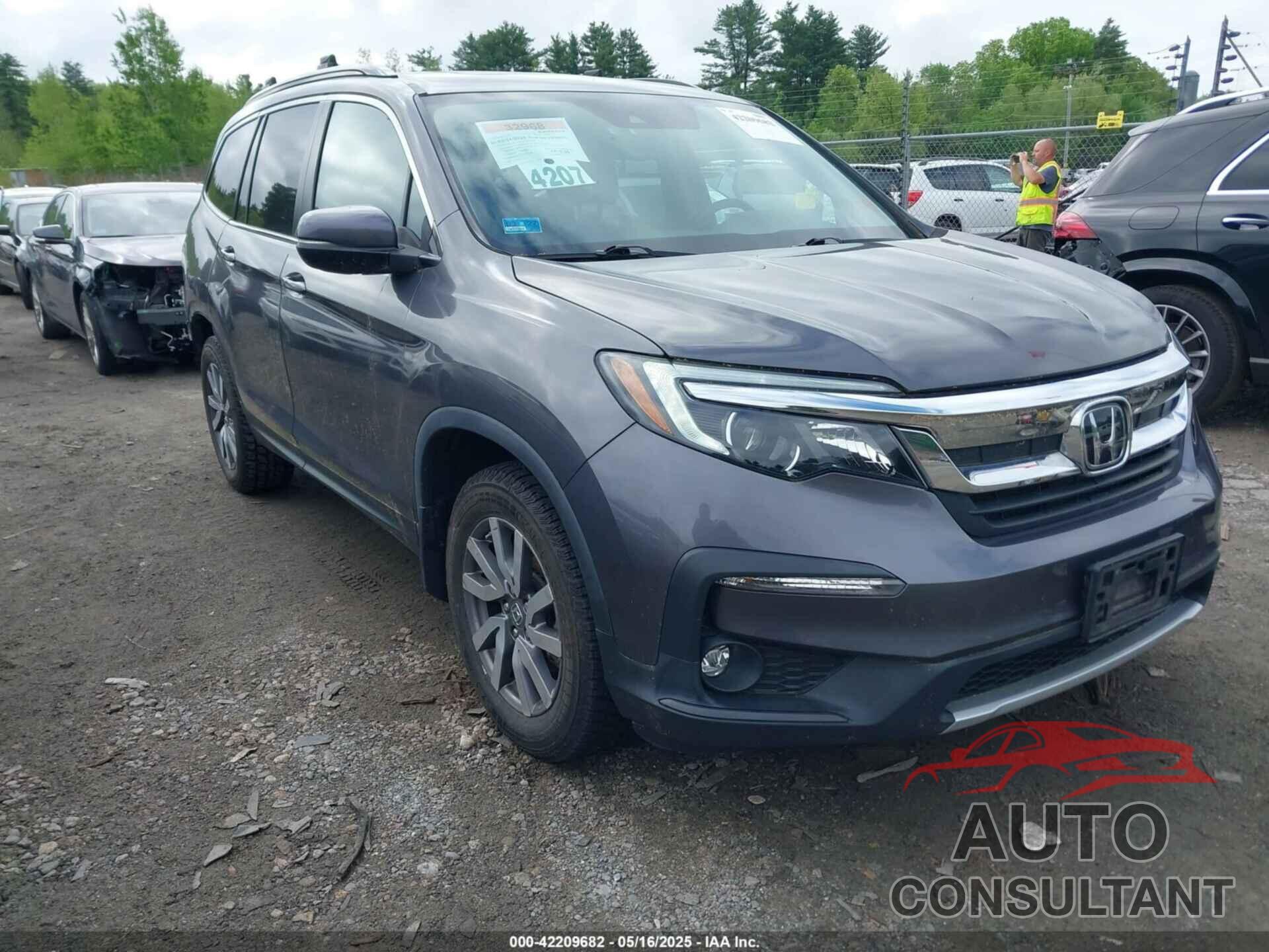 HONDA PILOT 2019 - 5FNYF6H55KB010807