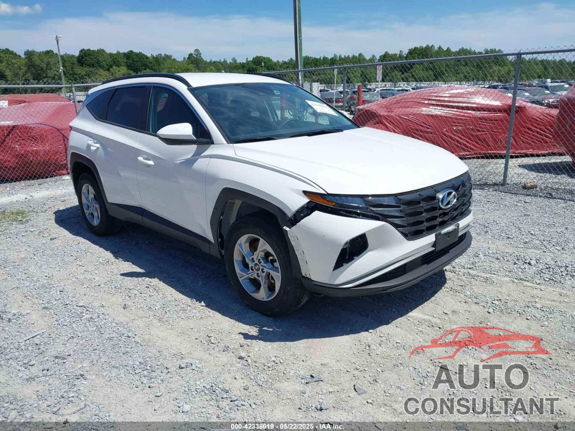 HYUNDAI TUCSON 2024 - 5NMJBCDE6RH391254
