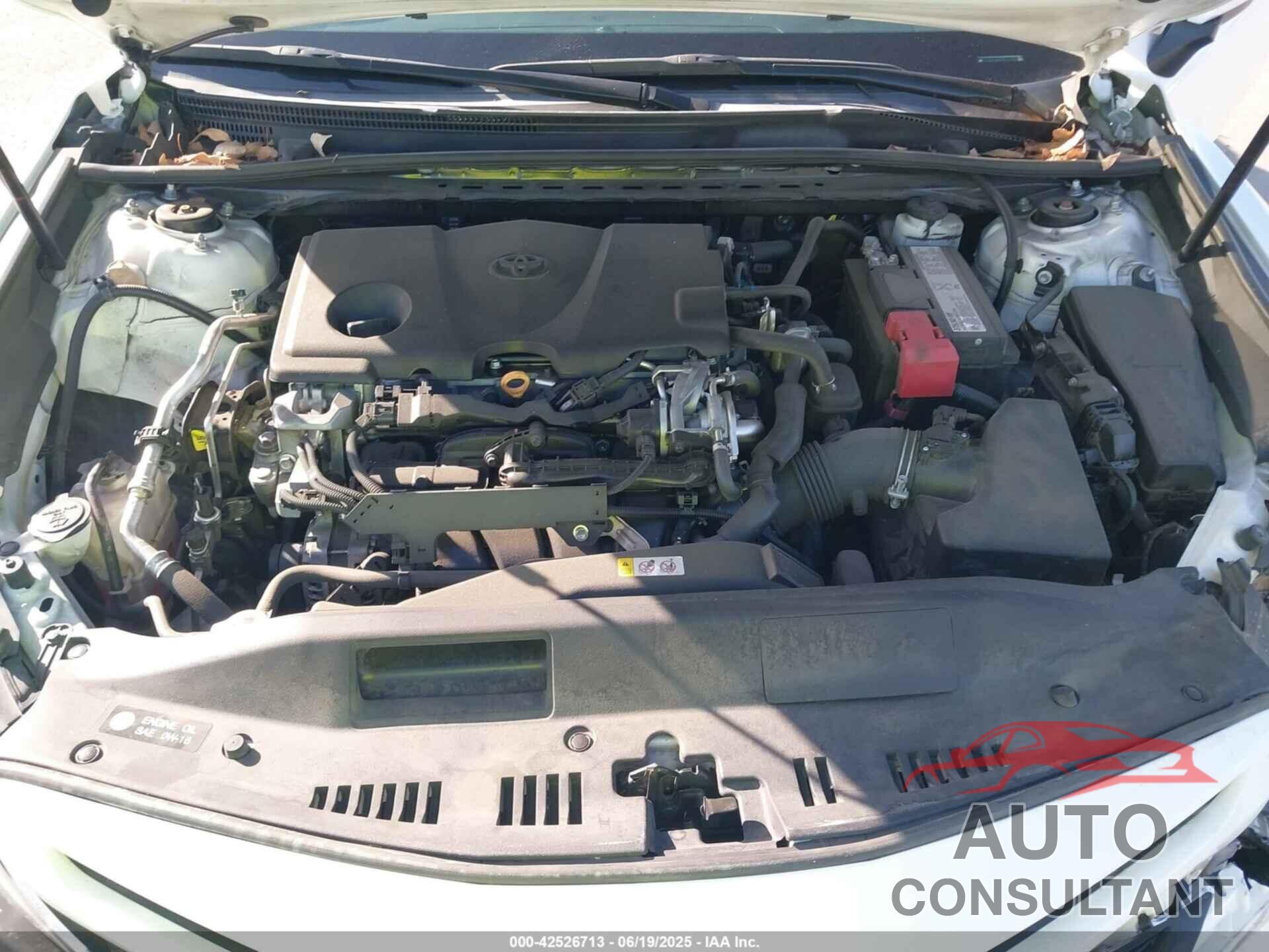 TOYOTA CAMRY 2019 - 4T1B11HK5KU779209