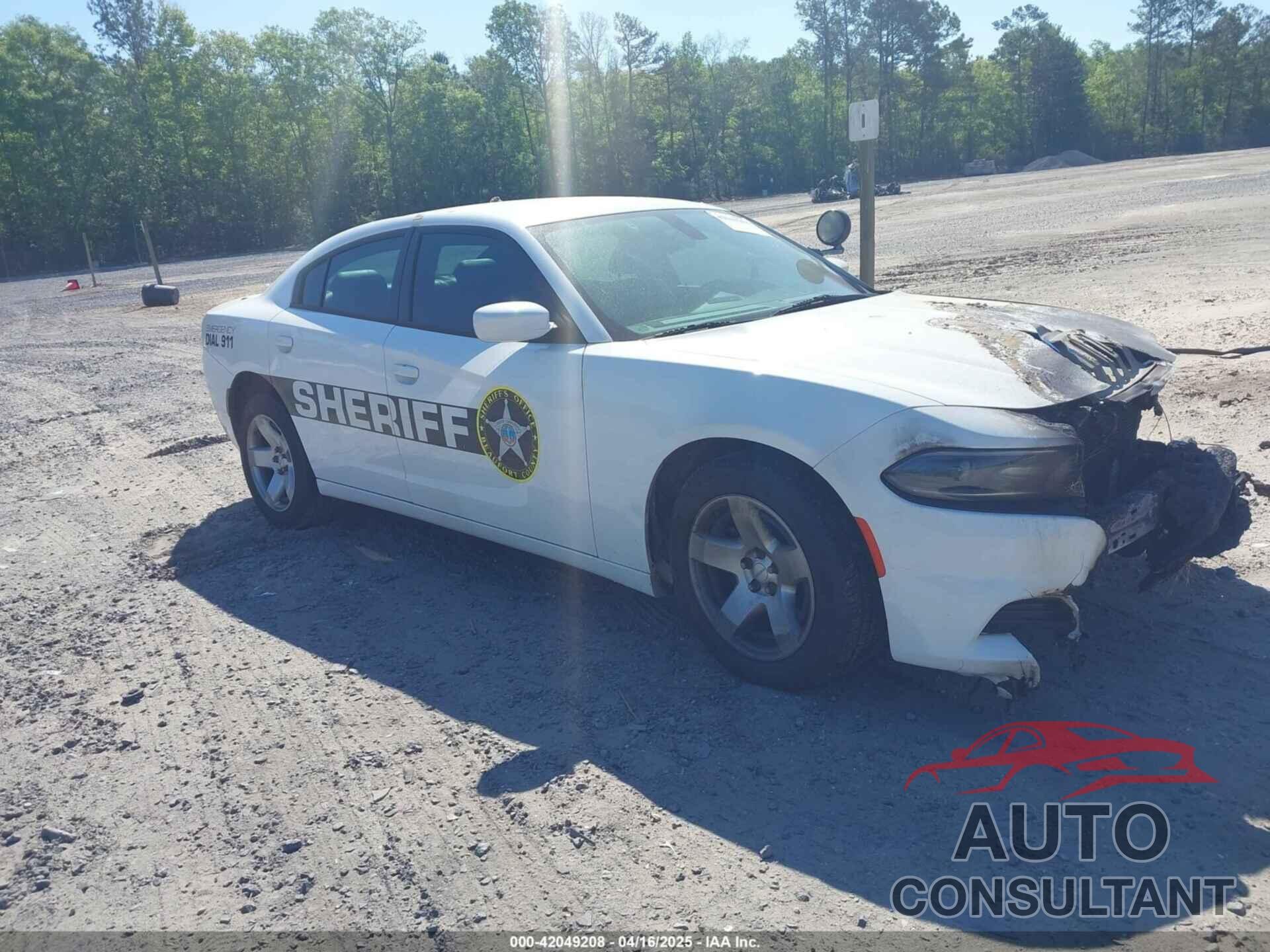 DODGE CHARGER 2019 - 2C3CDXAT9KH644876