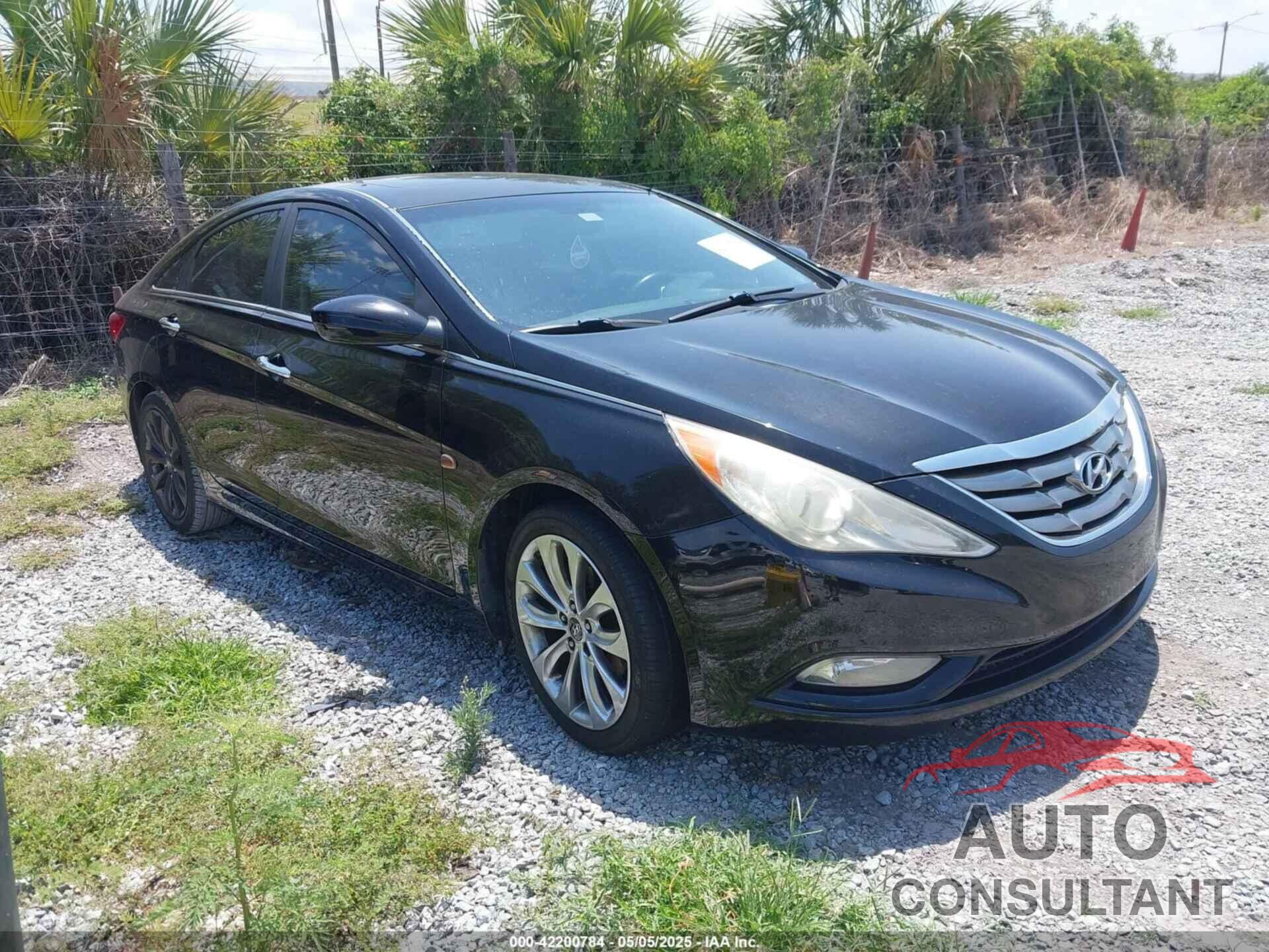 HYUNDAI SONATA 2011 - 5NPEC4AC5BH068944