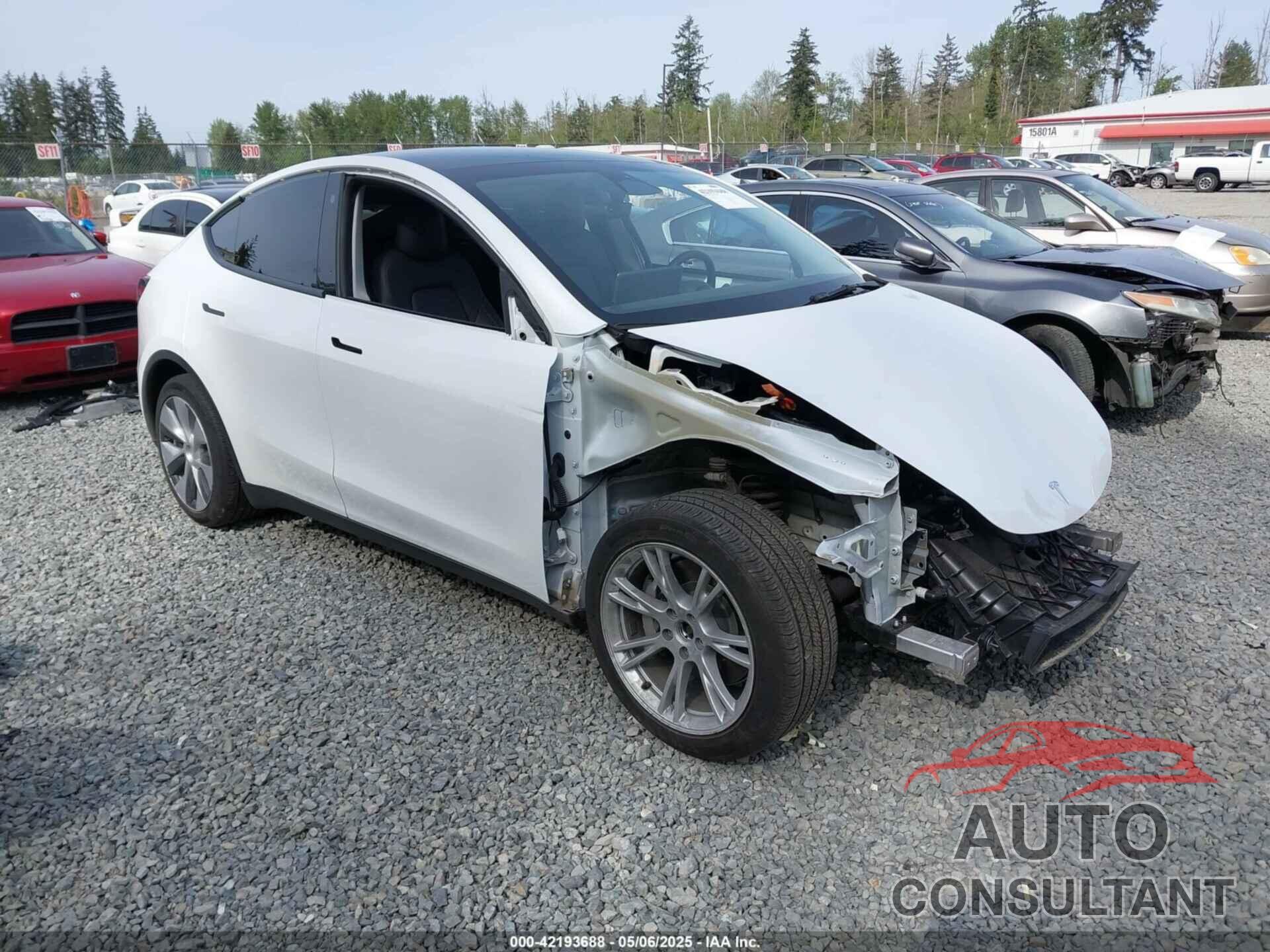 TESLA MODEL Y 2022 - 7SAYGDEE3NF513510