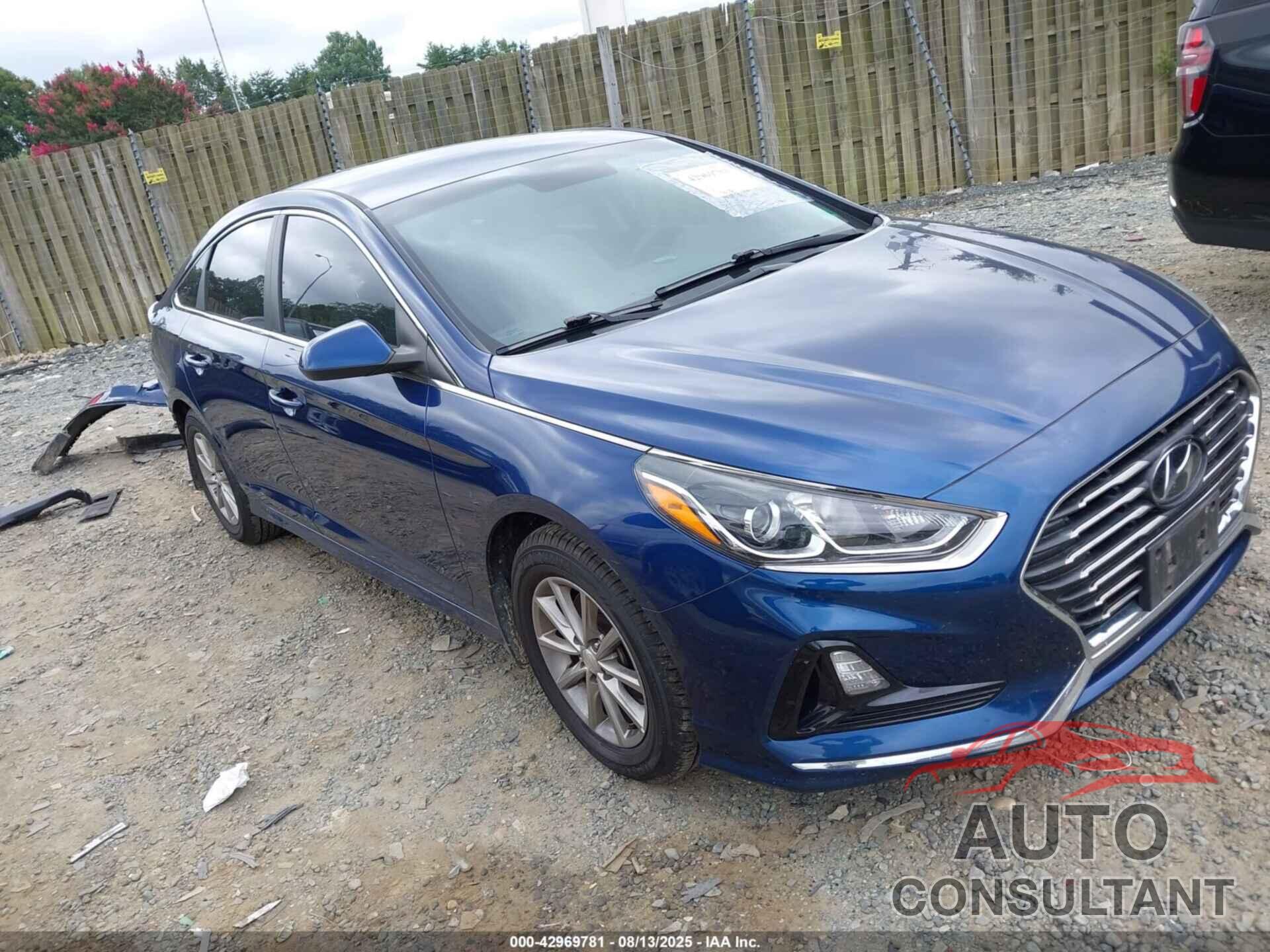HYUNDAI SONATA 2019 - 5NPE24AF0KH807215