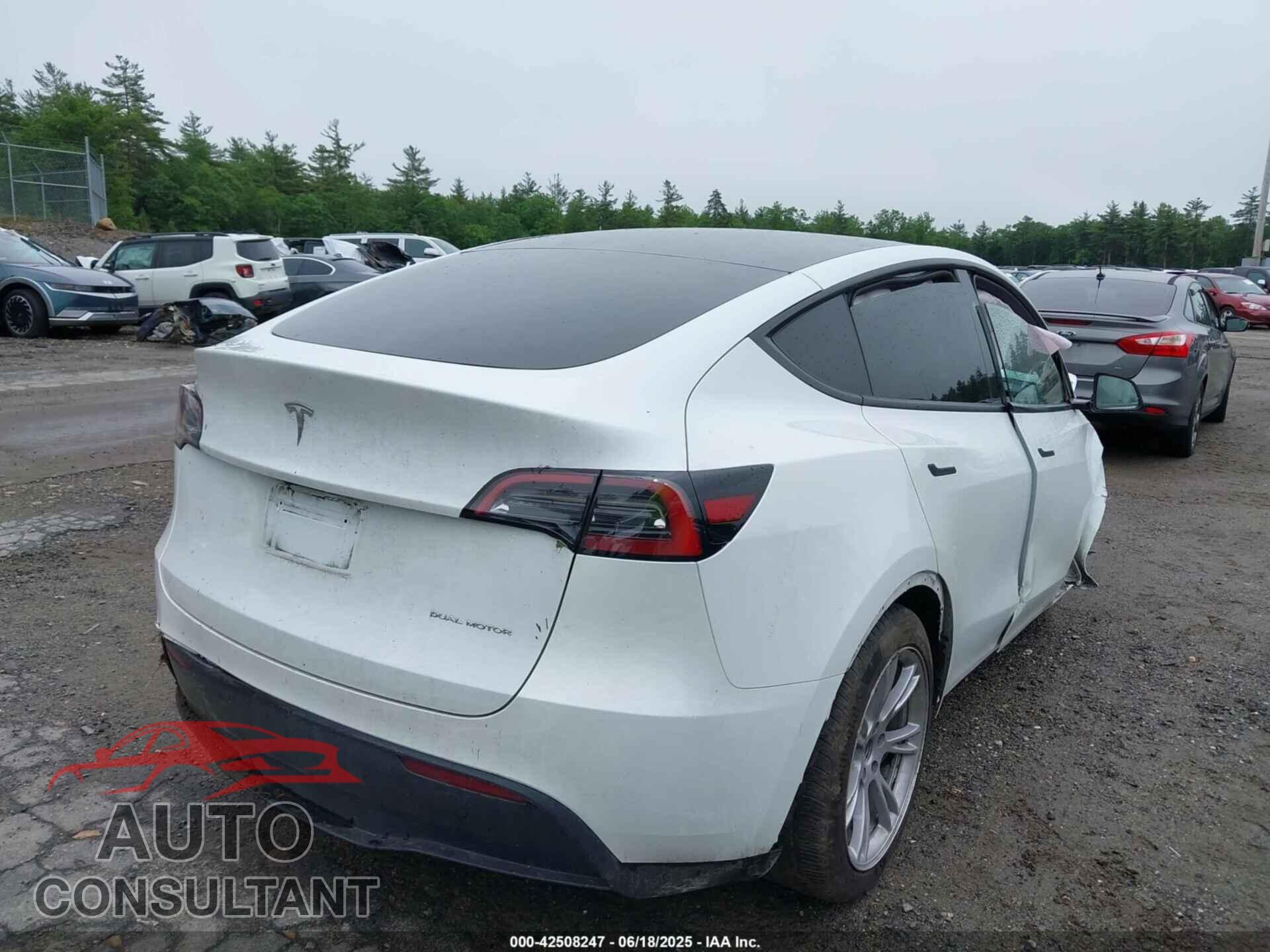 TESLA MODEL Y 2023 - 7SAYGDEE5PF892772