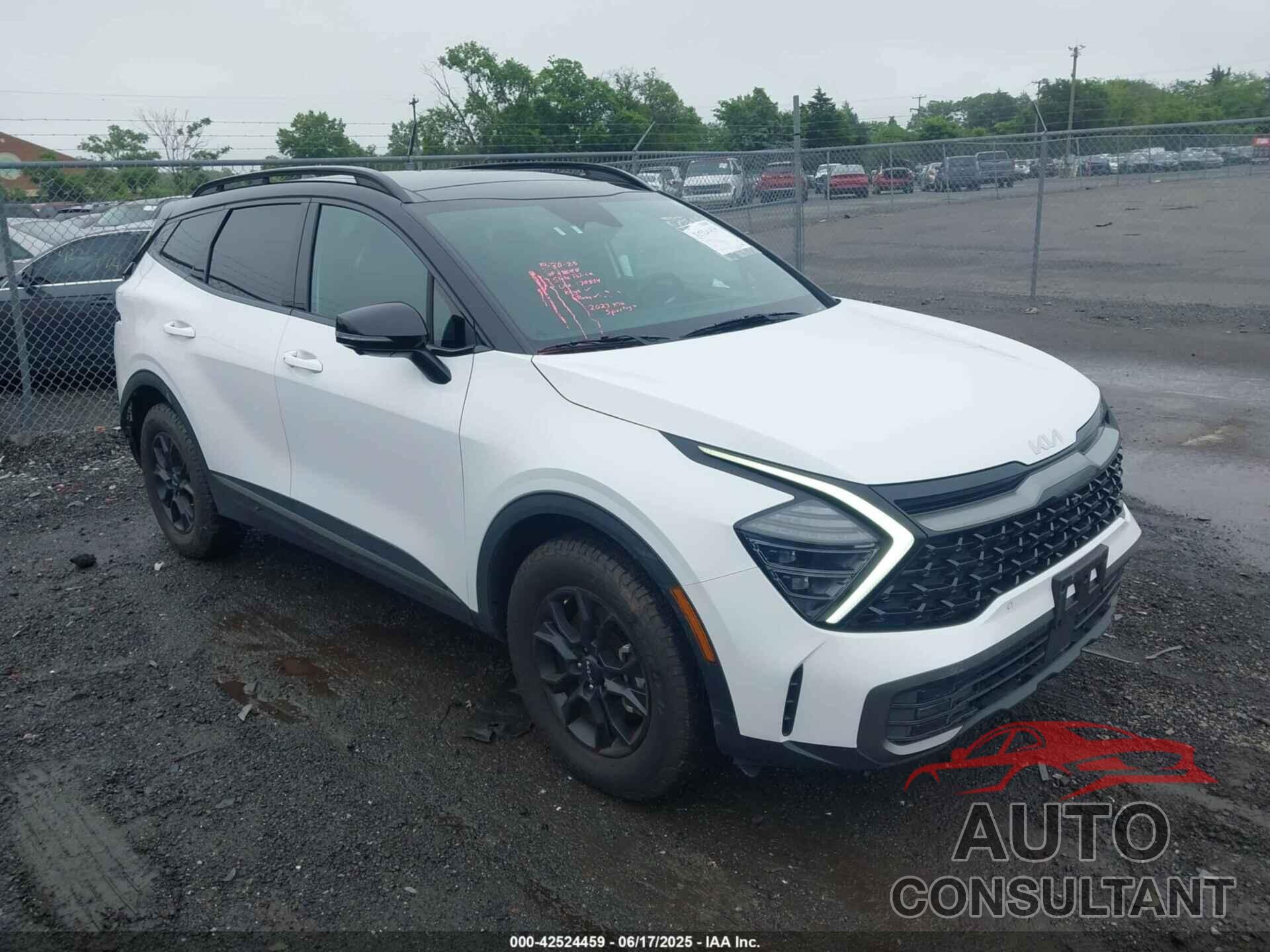KIA SPORTAGE 2024 - 5XYK7CDF9RG170854