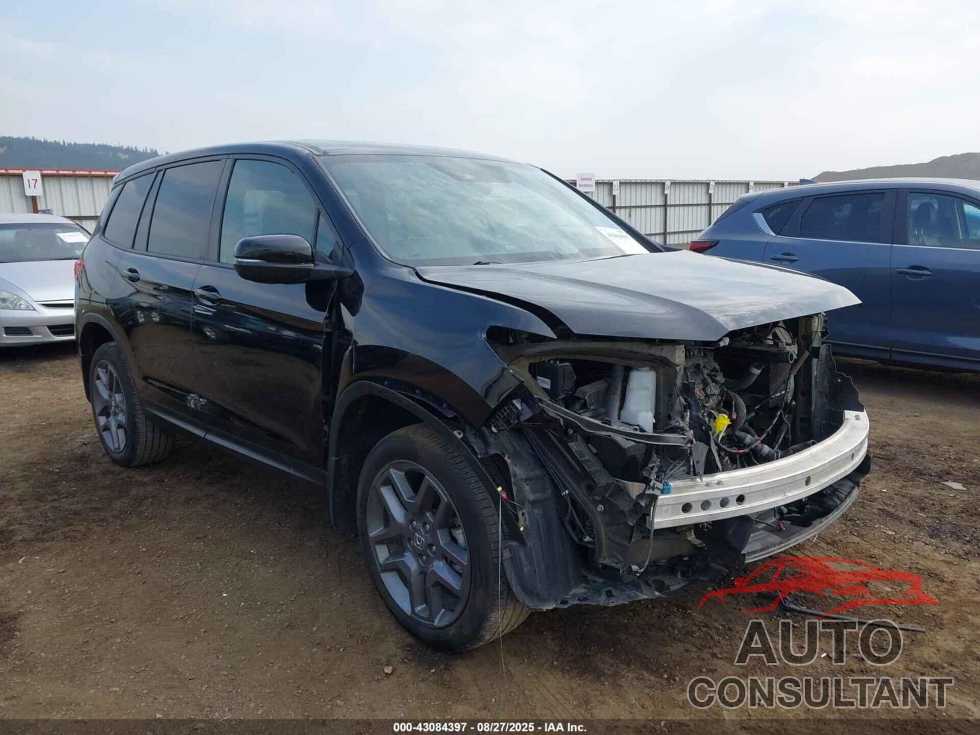 HONDA PASSPORT 2022 - 5FNYF8H59NB024628