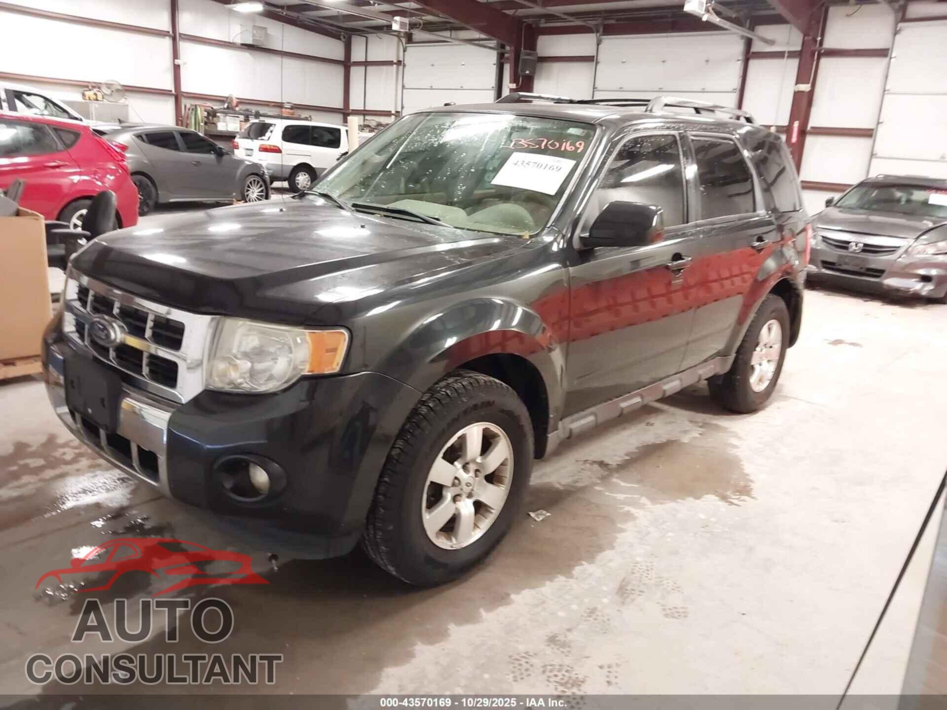 FORD ESCAPE 2011 - 1FMCU9E70BKA48726