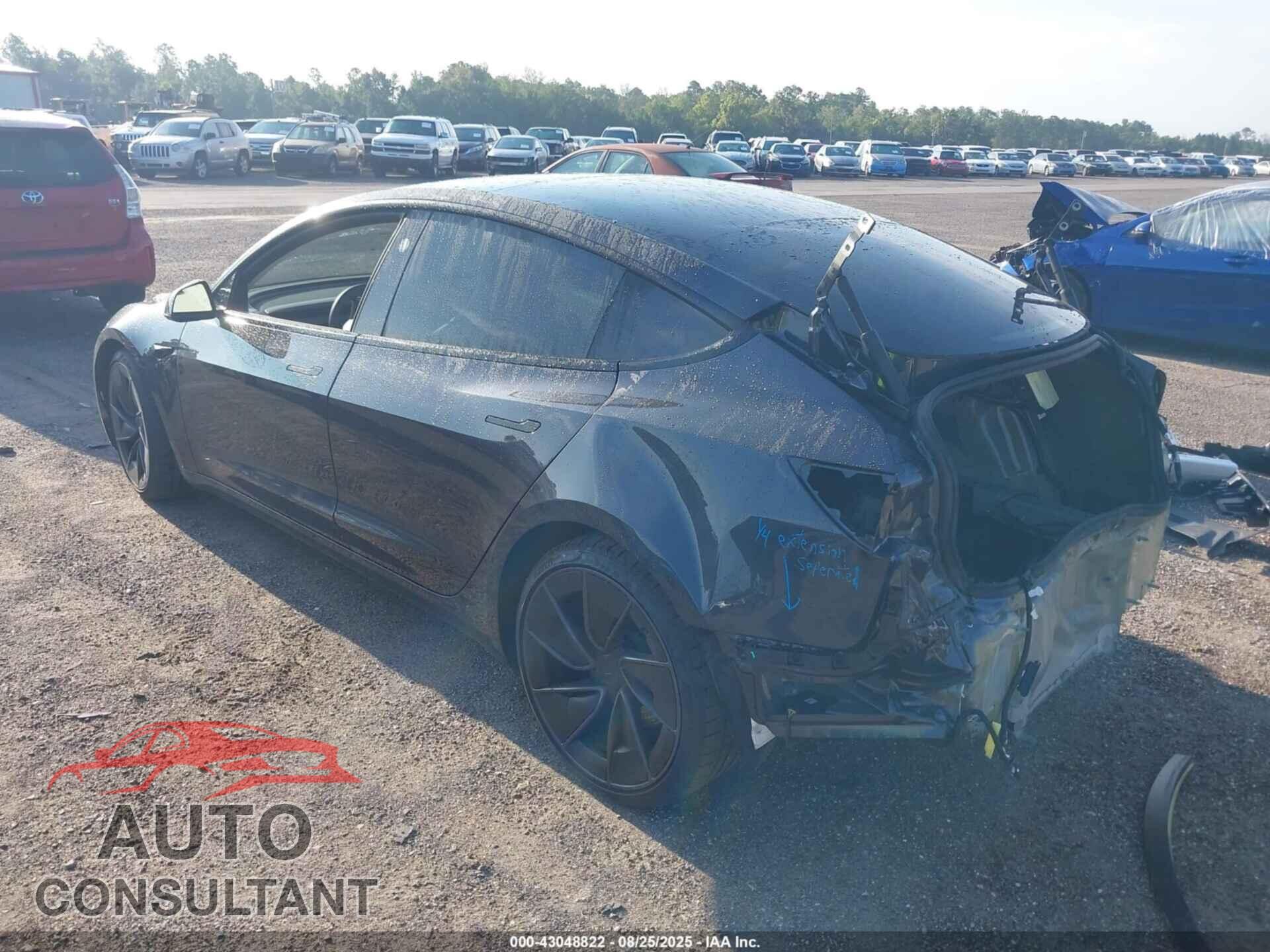 TESLA MODEL 3 2024 - 5YJ3E1ET4RF831605