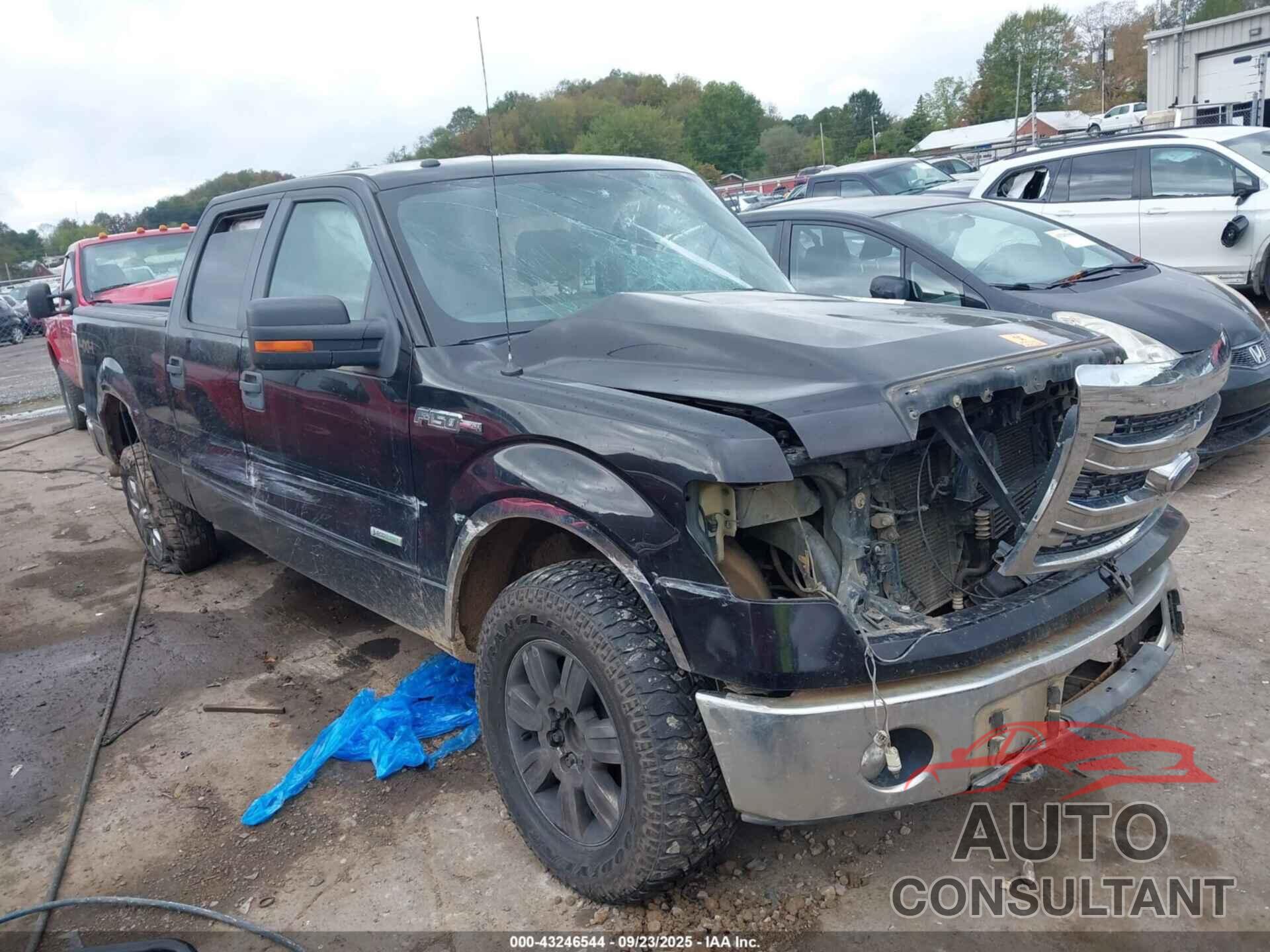 FORD F-150 2014 - 1FTFW1ET8EFA63644