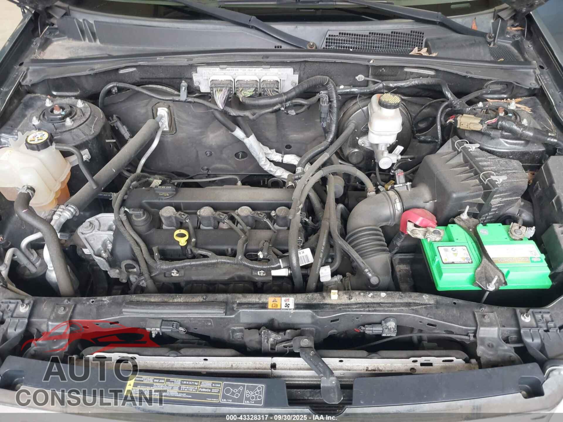 FORD ESCAPE 2010 - 1FMCU0C75AKB52349