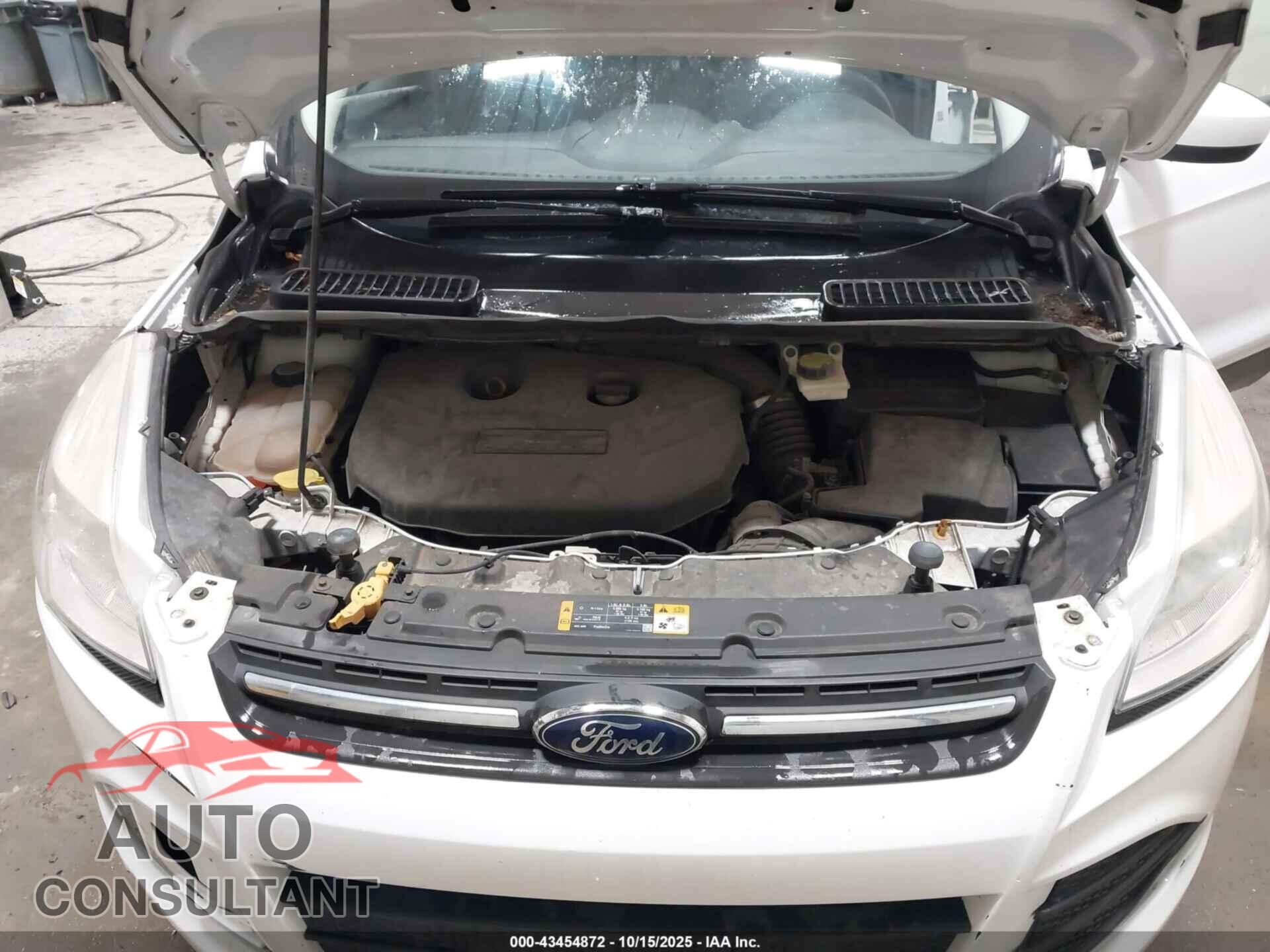 FORD ESCAPE 2013 - 1FMCU9G99DUB32095