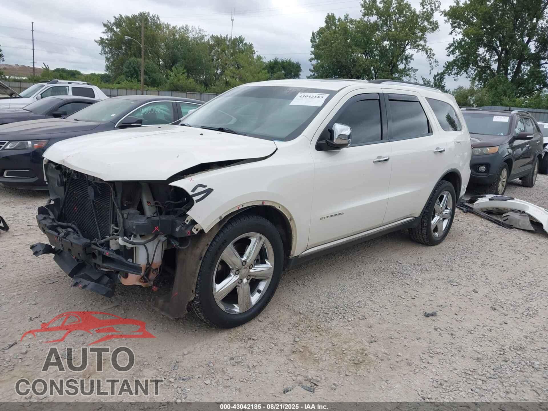 DODGE DURANGO 2011 - 1D4SE5GTXBC695423