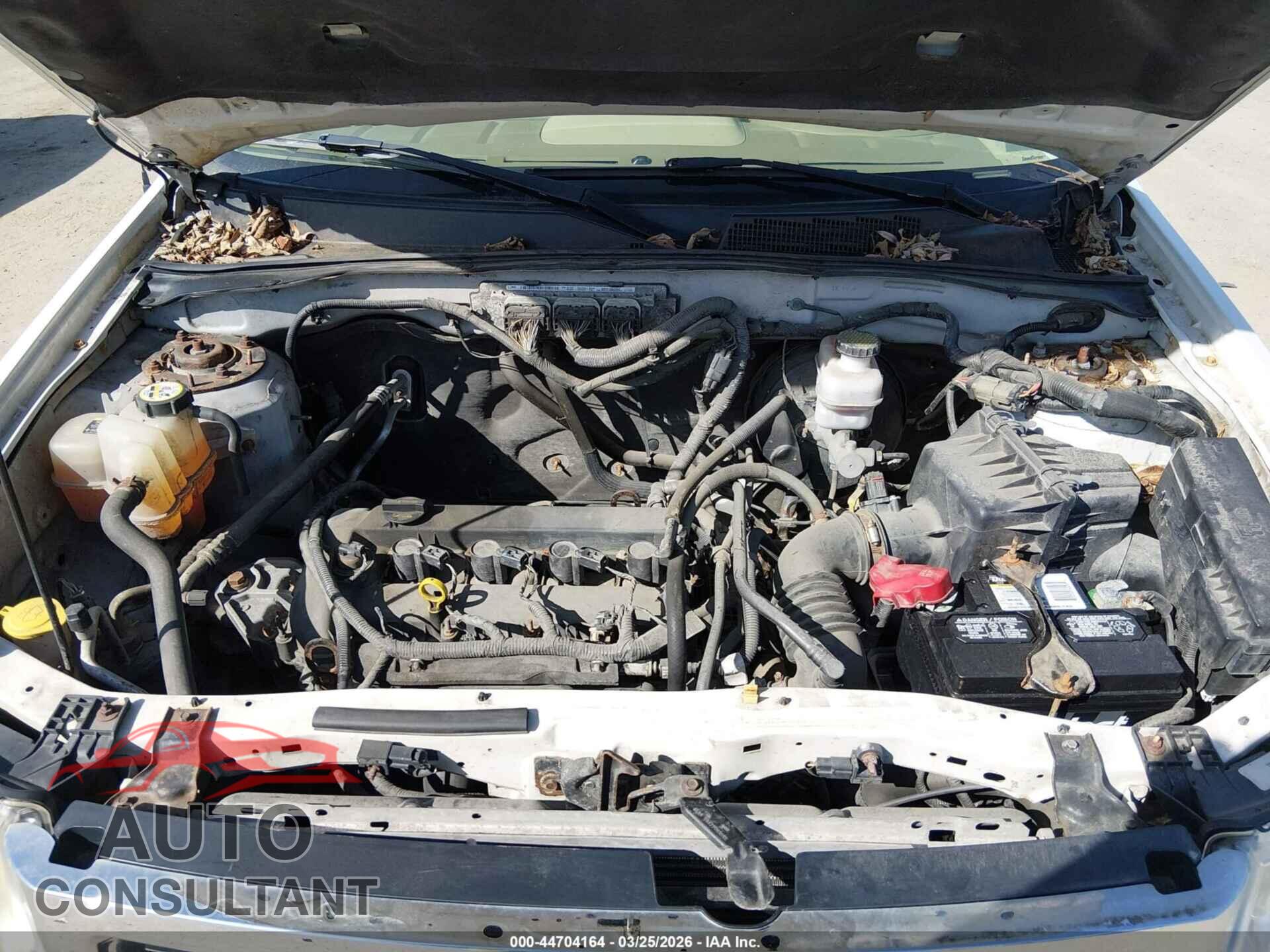 FORD ESCAPE 2012 - 1FMCU9D7XCKB60355
