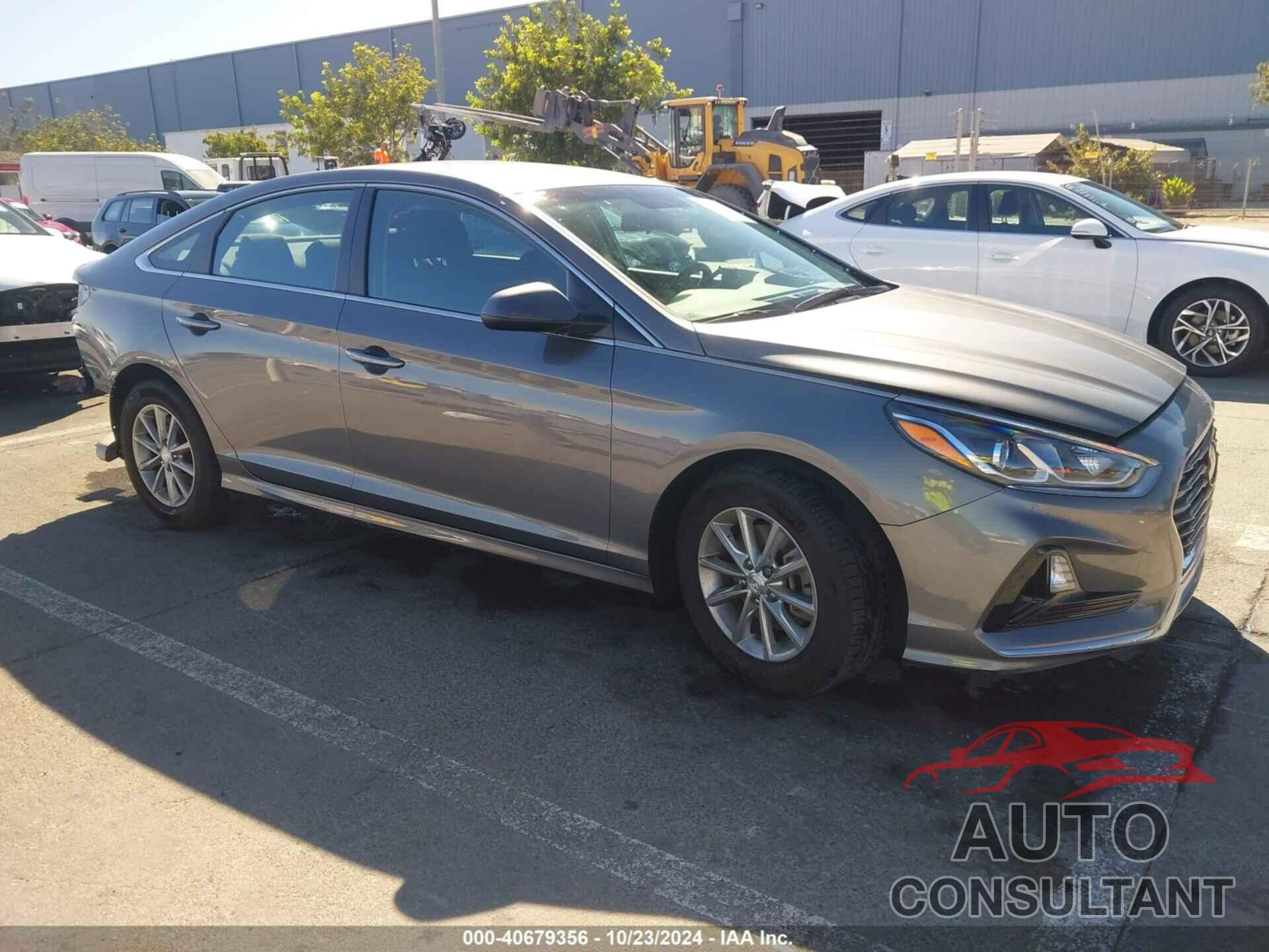 HYUNDAI SONATA 2019 - 5NPE24AF1KH751236