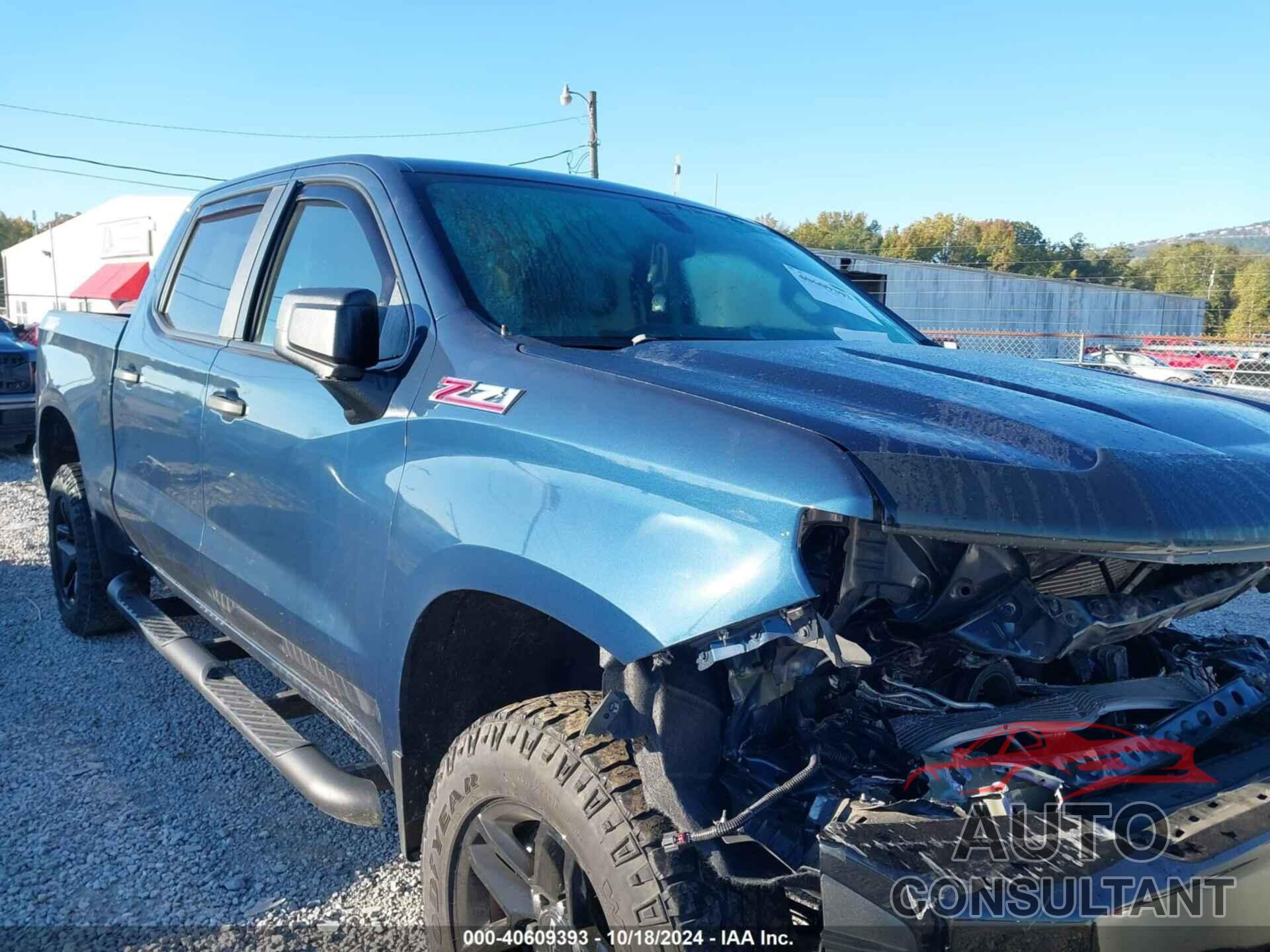 CHEVROLET SILVERADO 1500 2020 - 1GCPYCEF7LZ113403