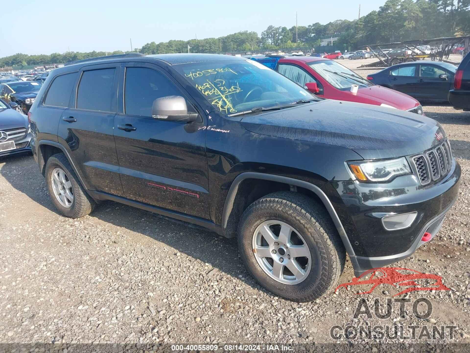 JEEP GRAND CHEROKEE 2019 - 1C4RJFLG5KC557956