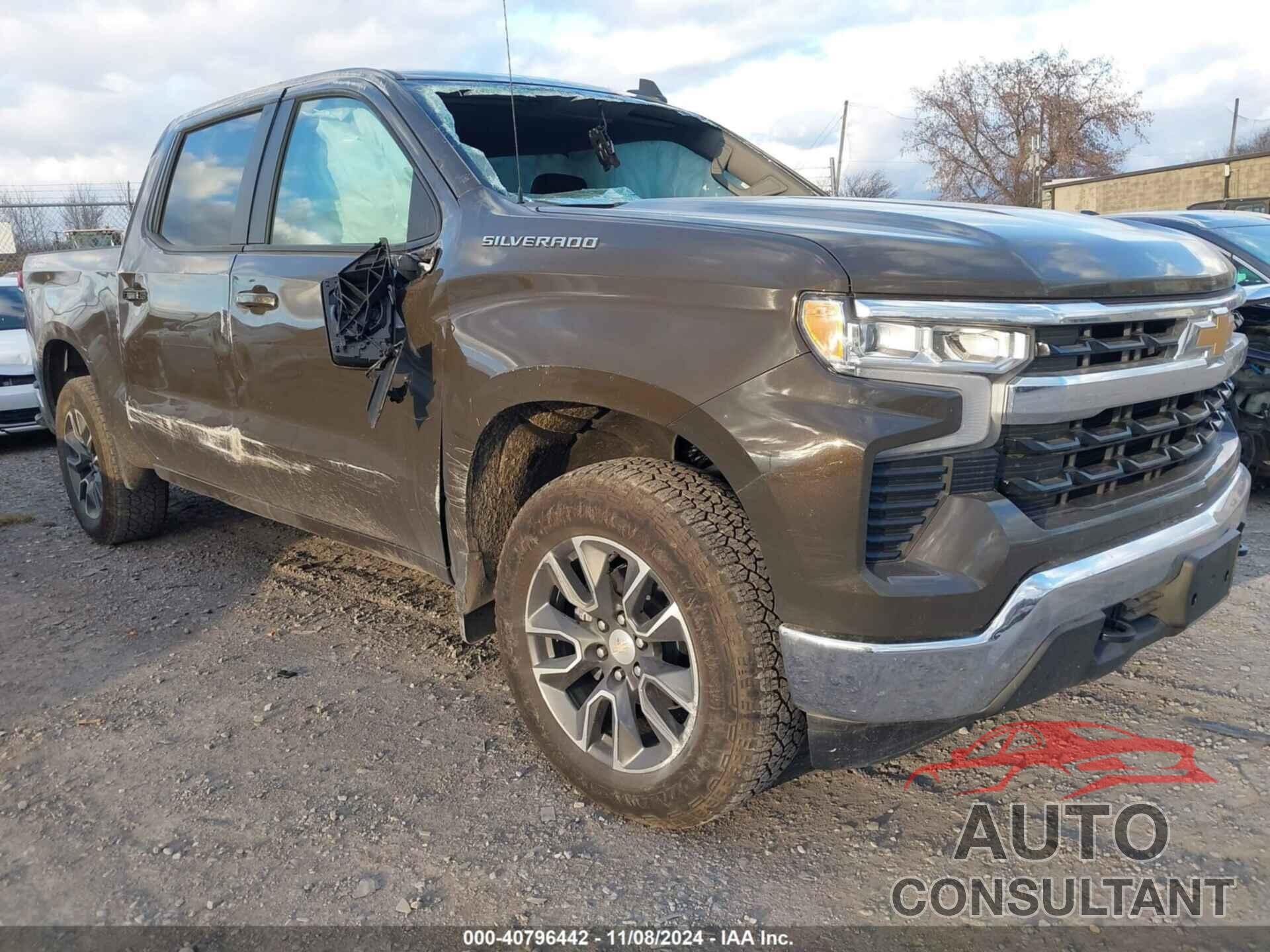 CHEVROLET SILVERADO 1500 2024 - 1GCPDKEK6RZ225072