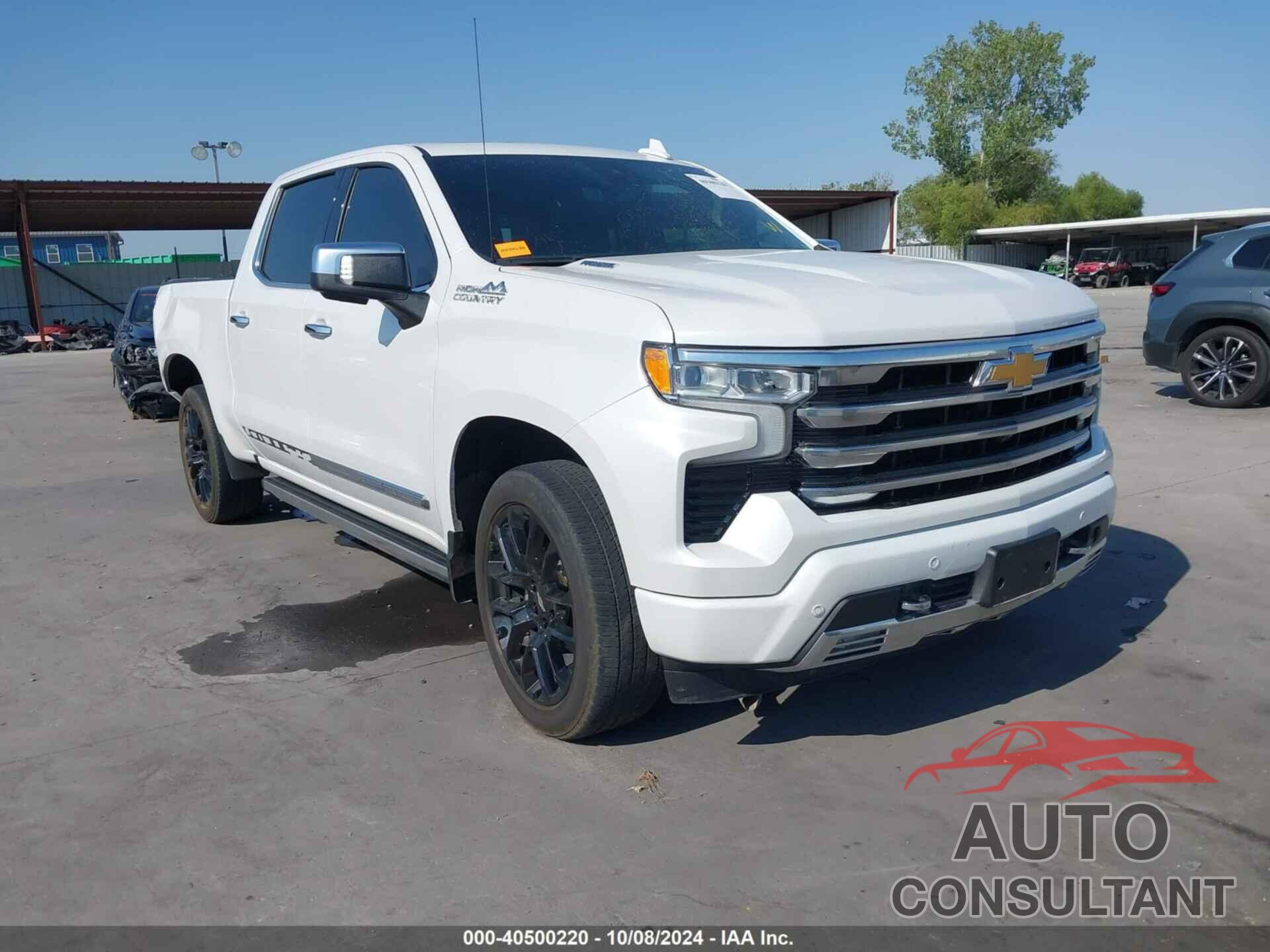 CHEVROLET SILVERADO 1500 2023 - 1GCUDJE85PZ304537