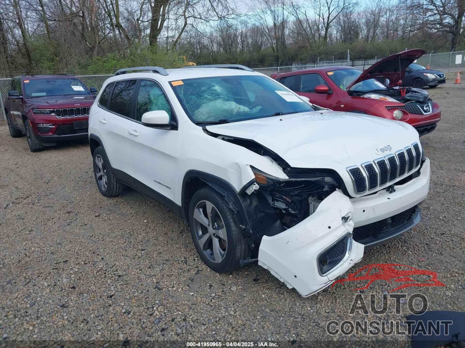 JEEP CHEROKEE 2019 - 1C4PJLDB9KD469835