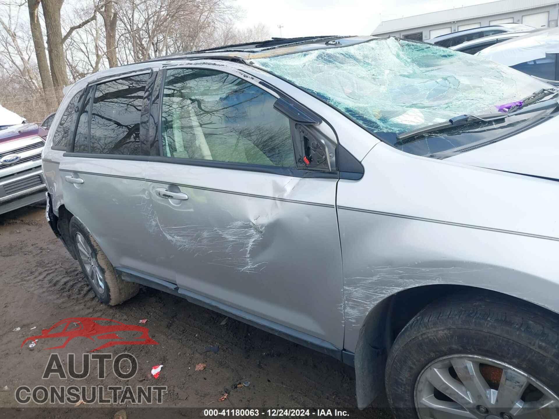 FORD EDGE 2009 - 2FMDK48C19BA91322