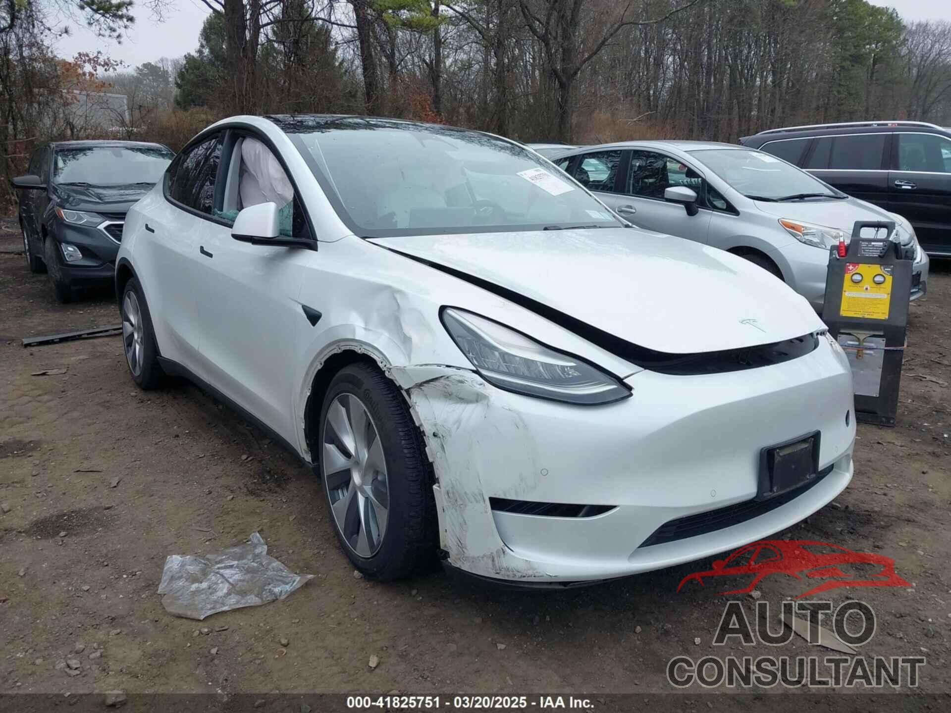 TESLA MODEL Y 2021 - 5YJYGDEE8MF069391