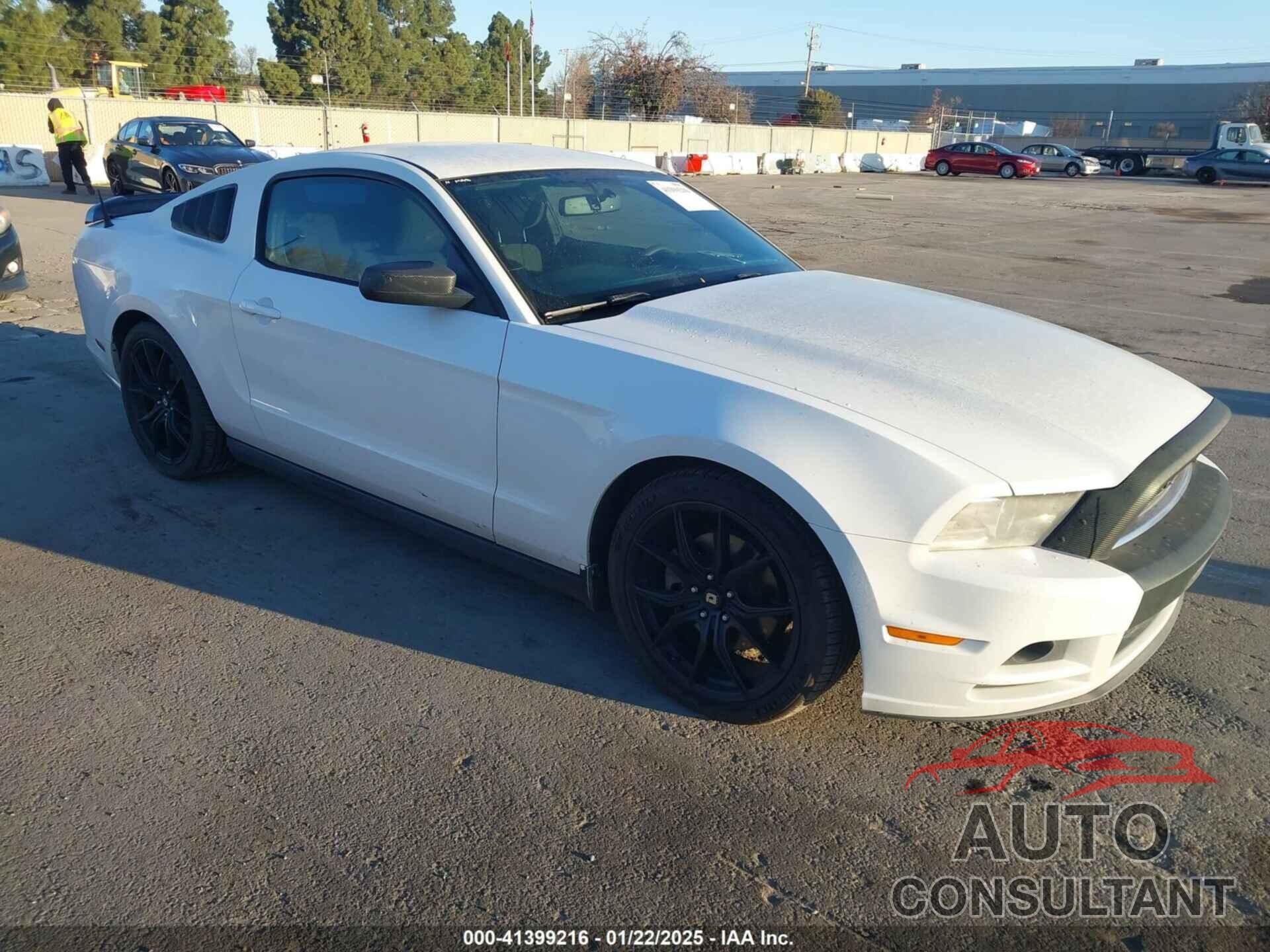 FORD MUSTANG 2014 - 1ZVBP8AMXE5224596