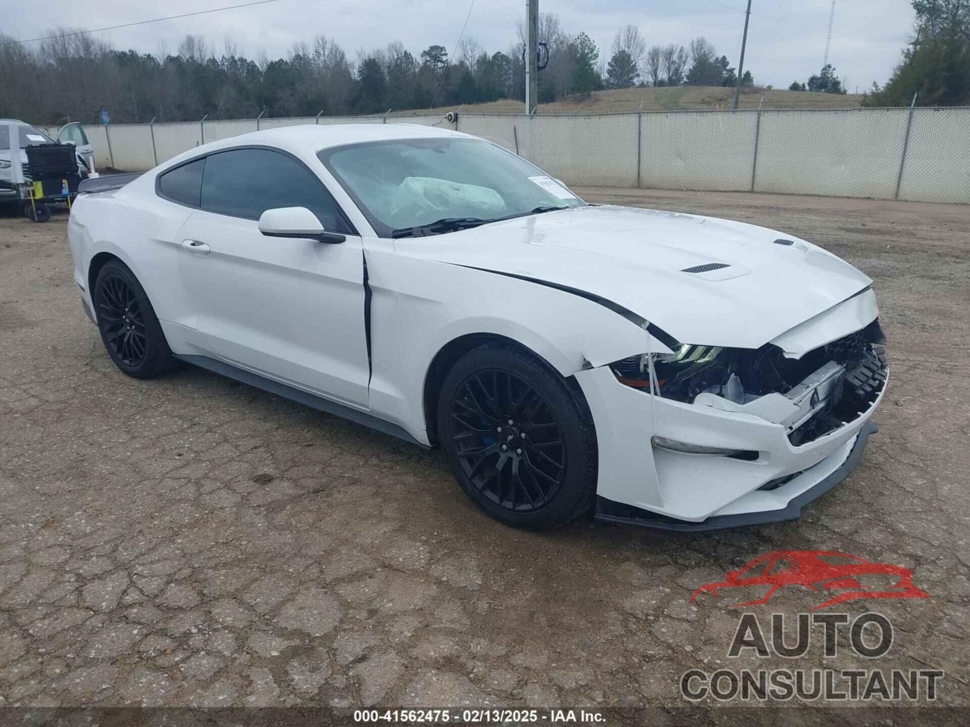 FORD MUSTANG 2019 - 1FA6P8THXK5163210