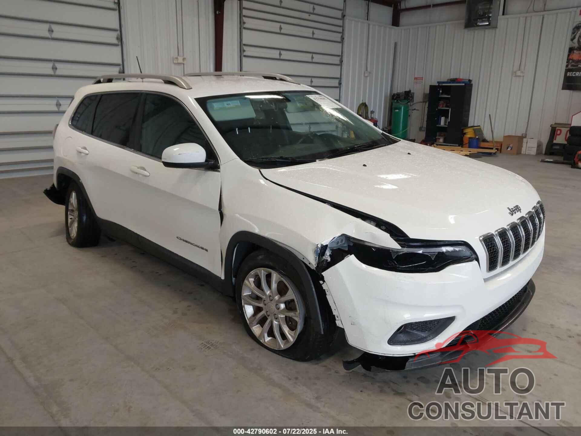 JEEP CHEROKEE 2019 - 1C4PJLCB9KD273301