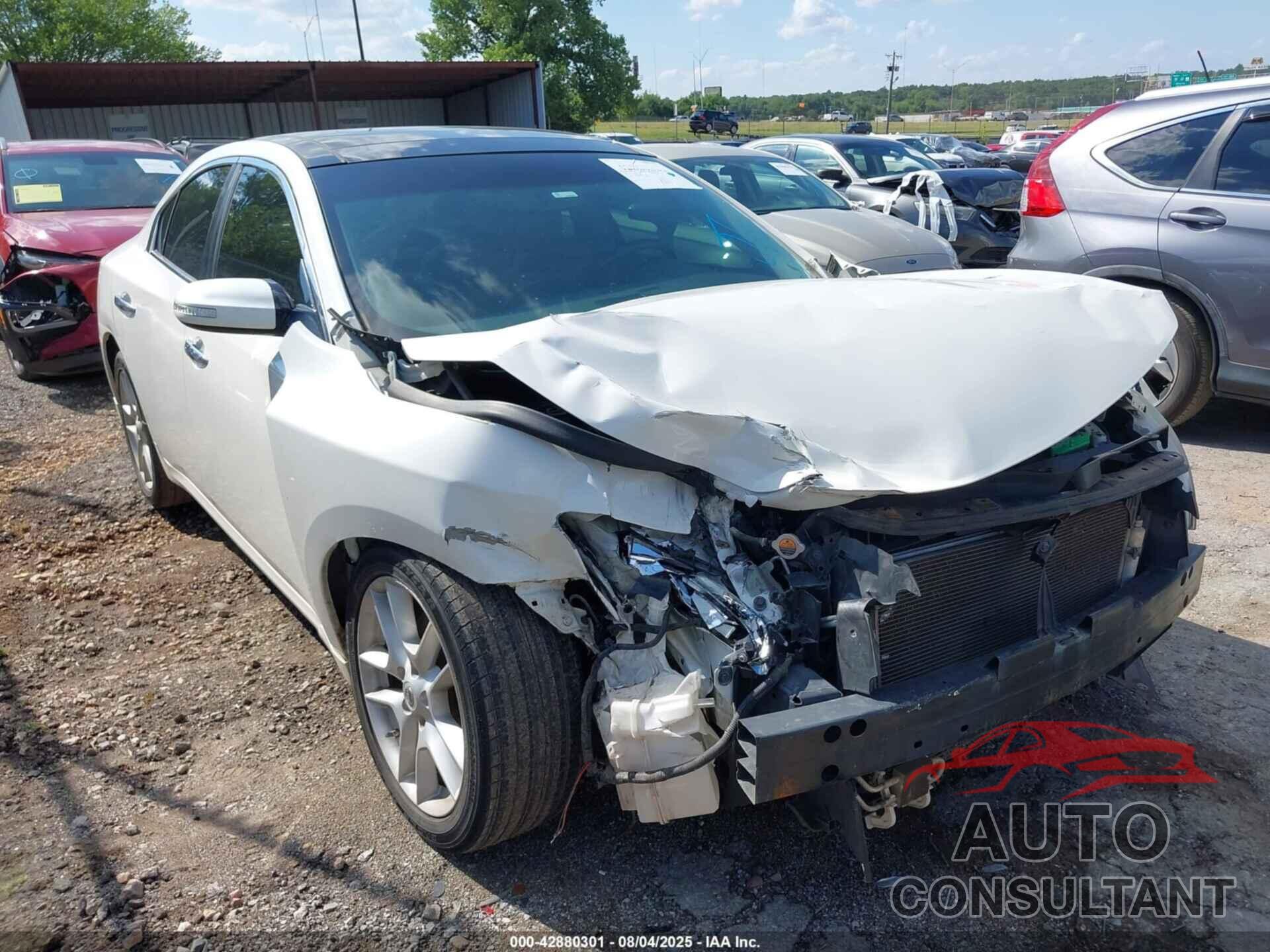 NISSAN MAXIMA 2009 - 1N4AA51E49C830295