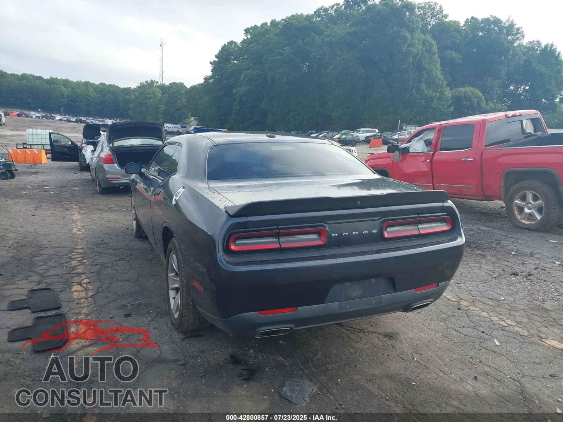 DODGE CHALLENGER 2019 - 2C3CDZAG9KH531752
